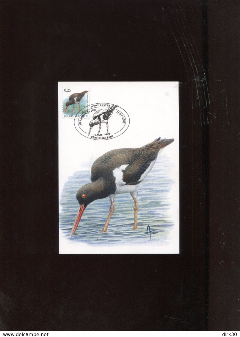 Belgie 3087 Maximumkaart Buzin Birds Kortrijk - 2001-2010