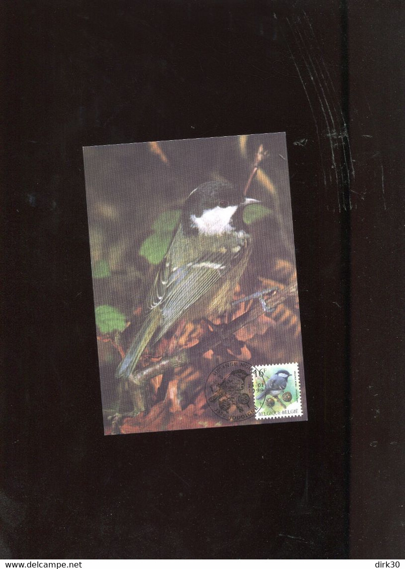 Belgie Buzin Vogels Birds 2804 Maximumkaart GEKLEURD Jodoigne - 1991-2000