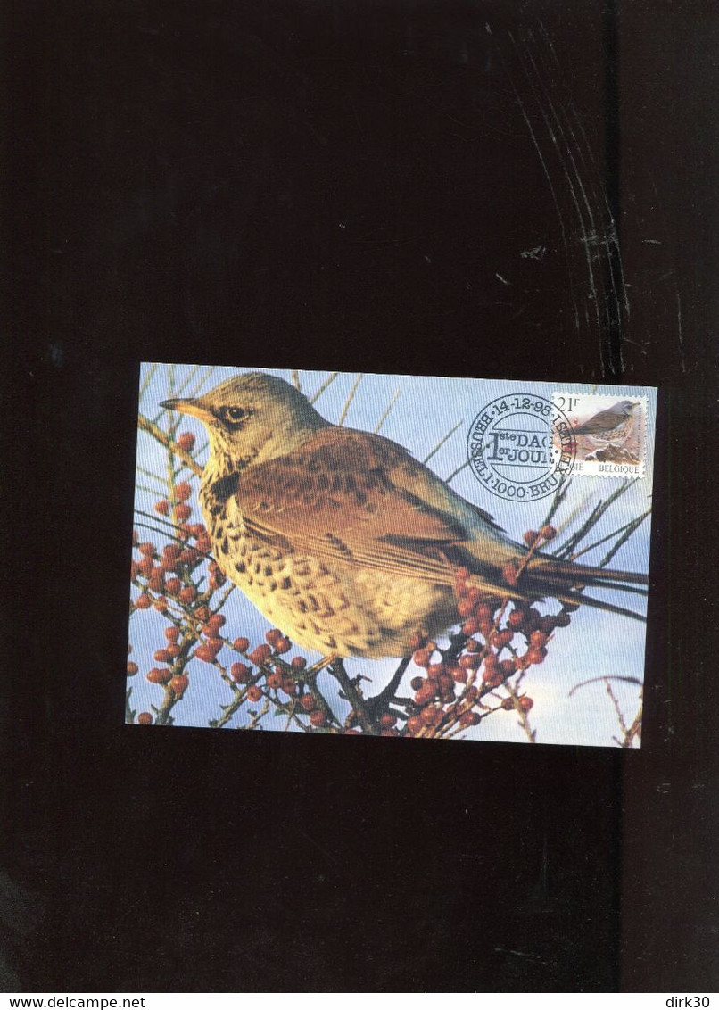 Belgie Buzin Vogels Birds 2792 Maximumkaart Veeweyde Brussel 1e DAG - 1991-2000