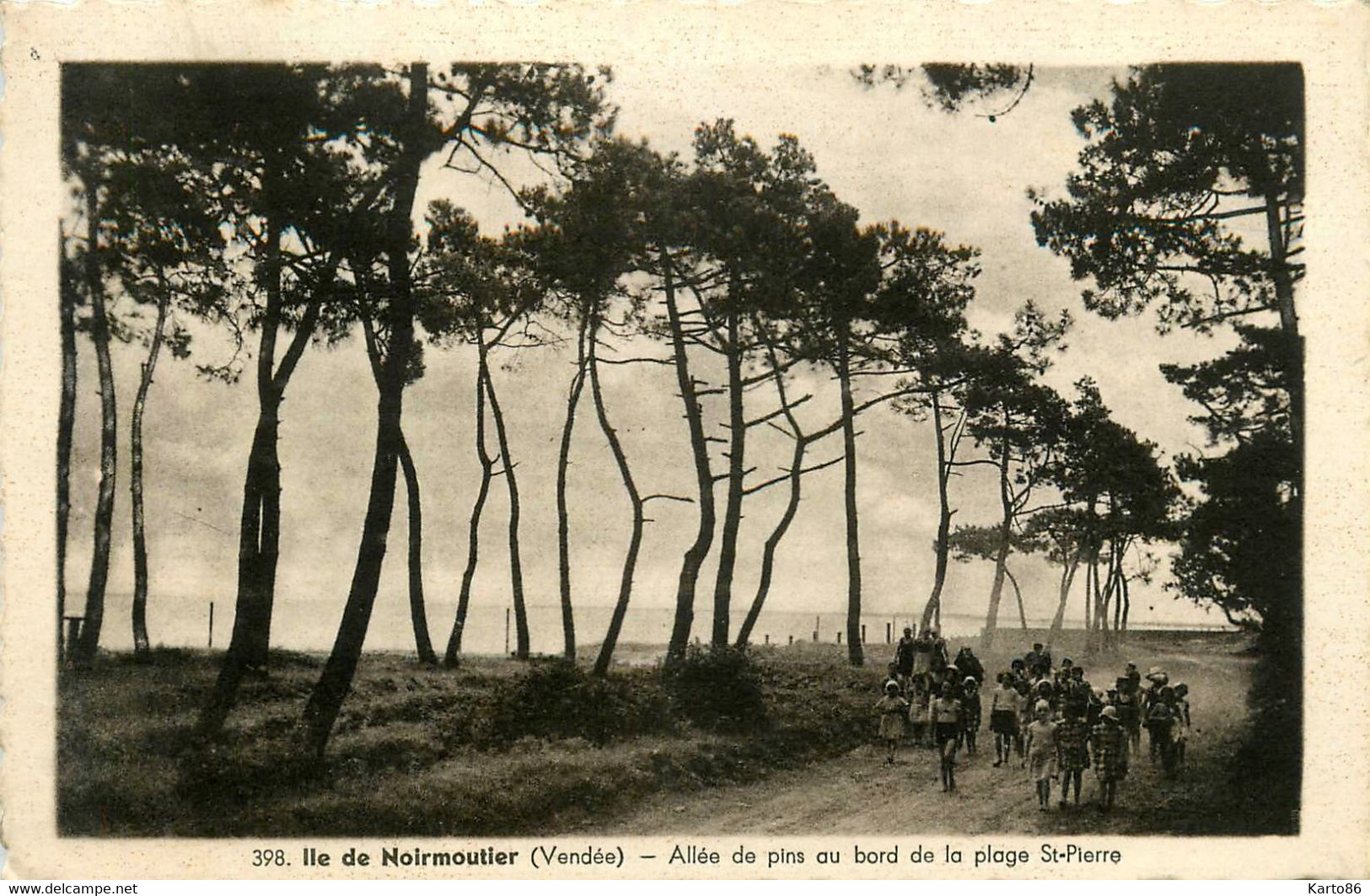 Noirmoutier * Allée De Pins Au Bord De La Plage St Pierre * Promeneurs - Noirmoutier