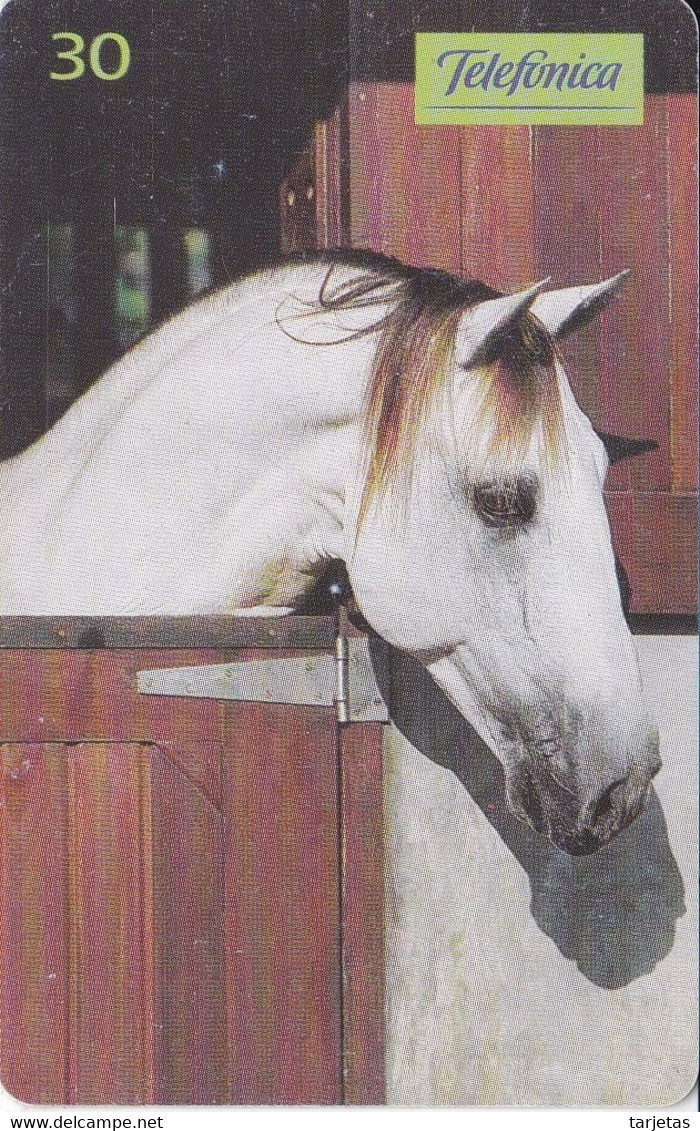 TARJETA DE BRASIL DE UN CABALLO ANDALUZ  (CABALLO-HORSE) - Chevaux