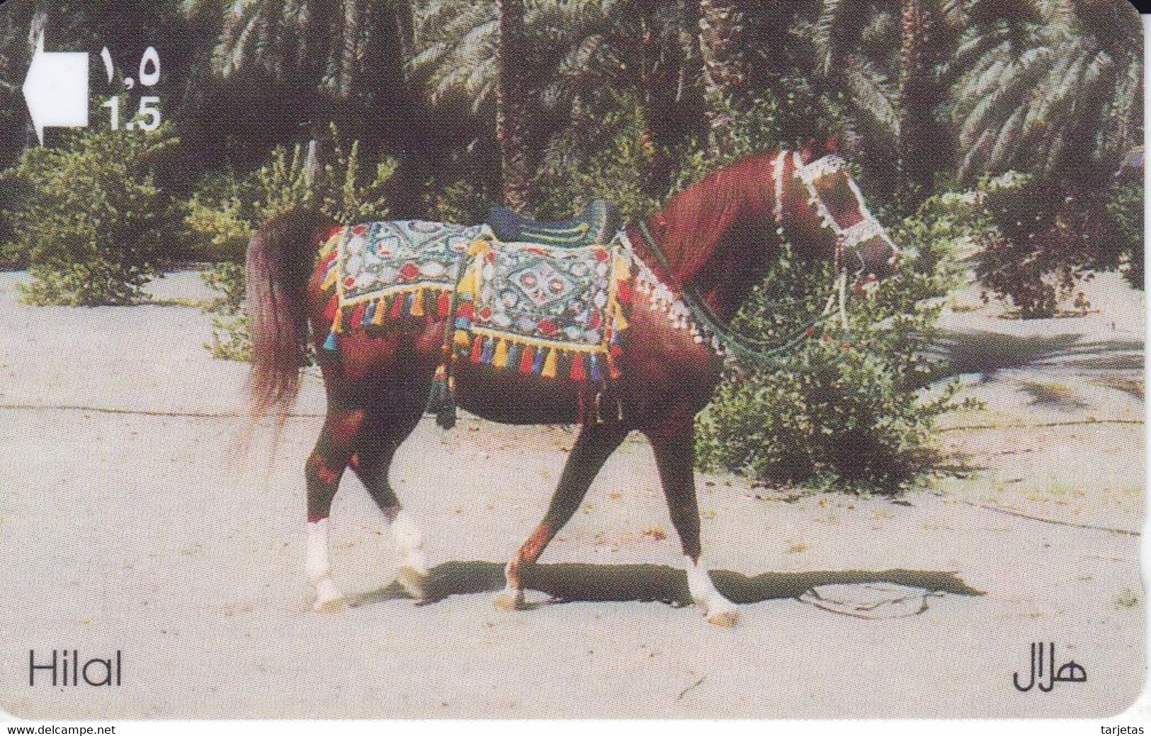 TARJETA DE OMAN DE UN CABALLO (CABALLO-HORSE) - Chevaux