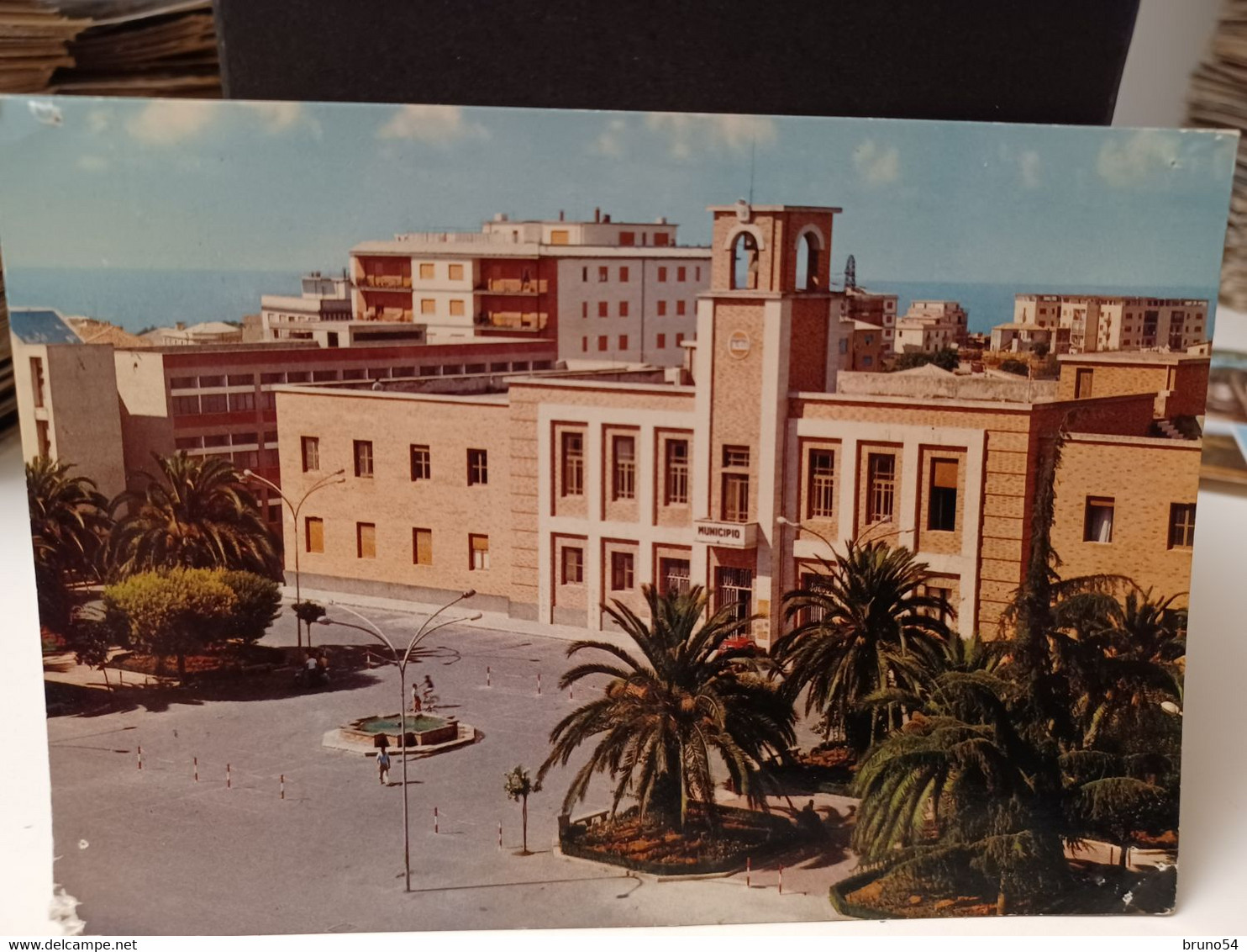 Cartolina Vibo Valentia Piazza Municipio , Palme Anni 70 - Vibo Valentia