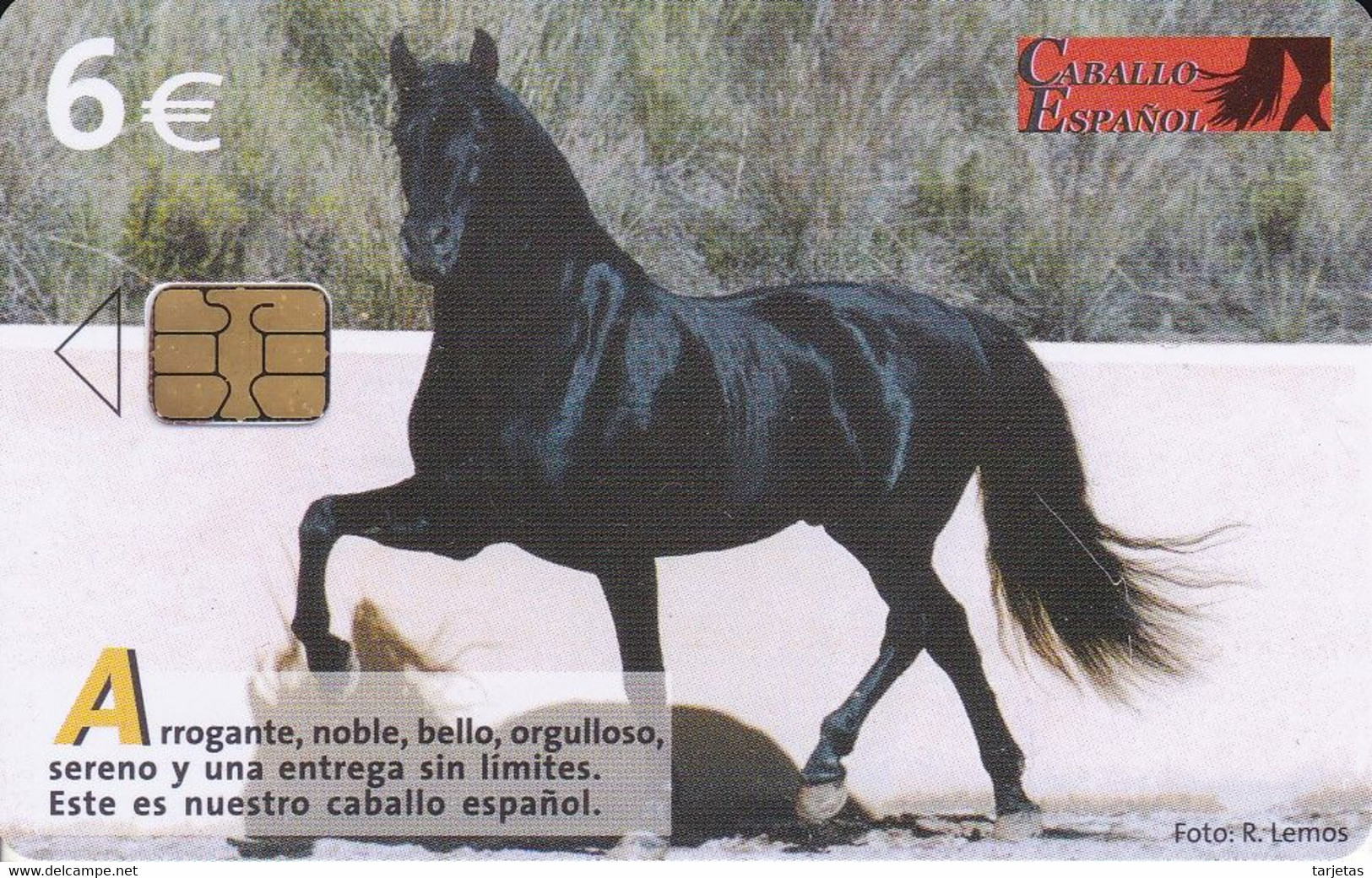 CP-279 TARJETA CABALLO ESPAÑOL DE TIRADA 251000 - Pferde
