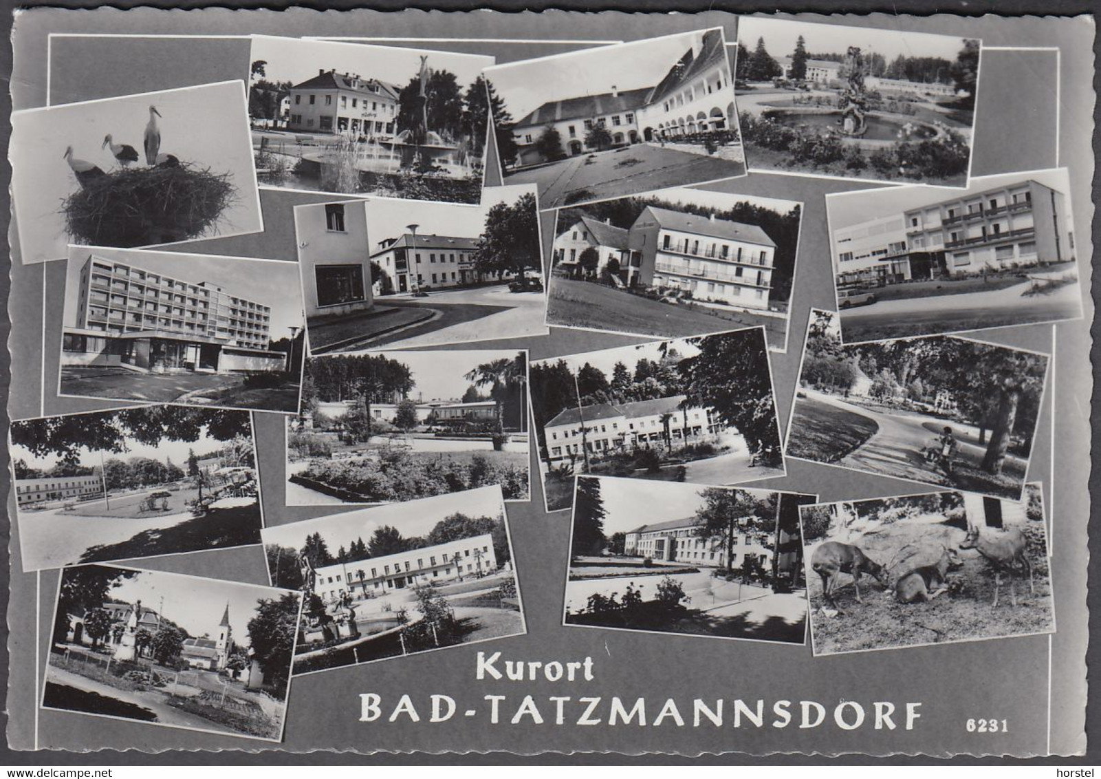 Austria - 7431 Bad Tatzmannsdorf - Alte Ansichten - Kurkliniken - Storch - Pinkafeld