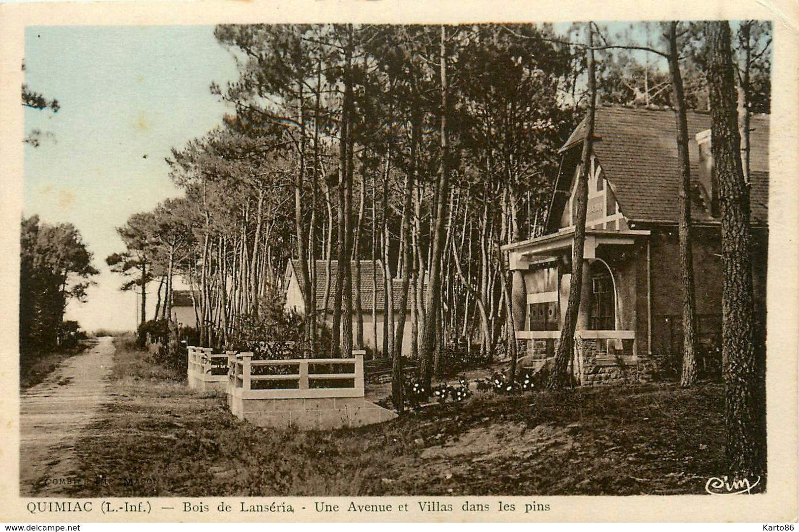 Quimiac * Mesquer * Le Bois De Lanséria * Une Avenue Et Les Villas Dans Les Pins - Mesquer Quimiac