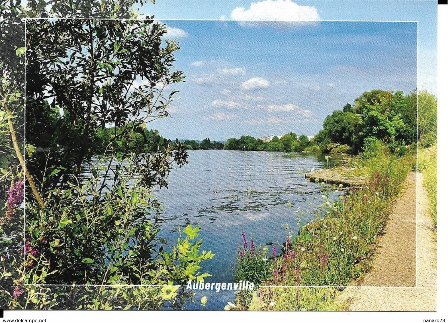 Carte Postale D'Aubergenville Berges De Seine Editions Alain Baudry - Aubergenville