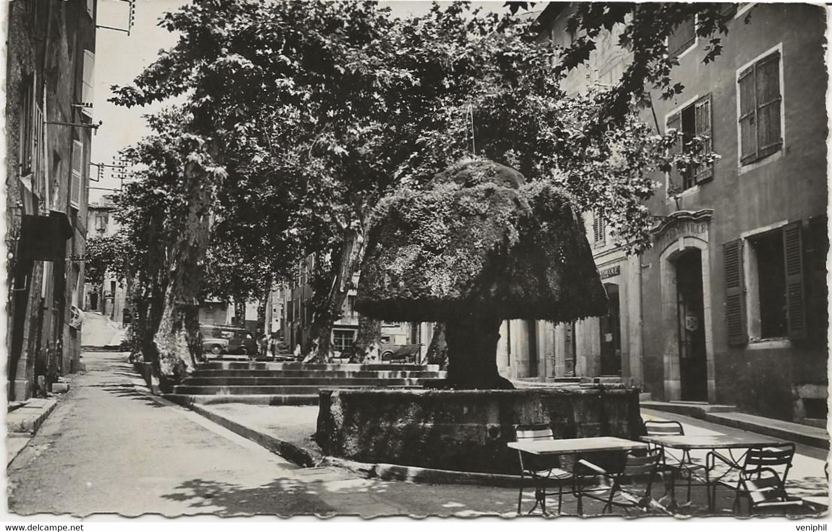 BARJOLS - VAR - CARTE PHOTO -PLACE DE LA MAIRIE - Barjols