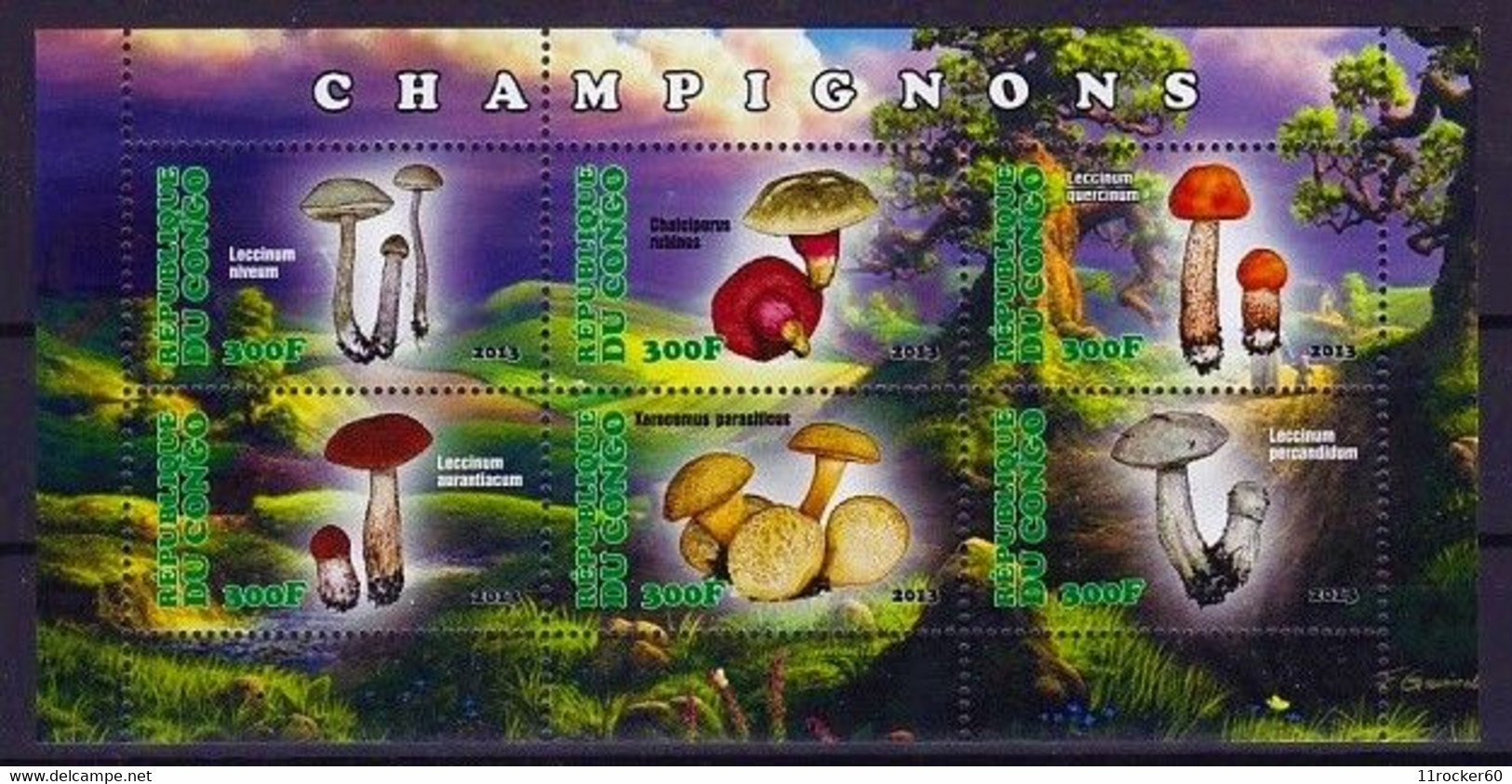 Congo 2013 M/S - Mushrooms MNH ** - Paddestoelen