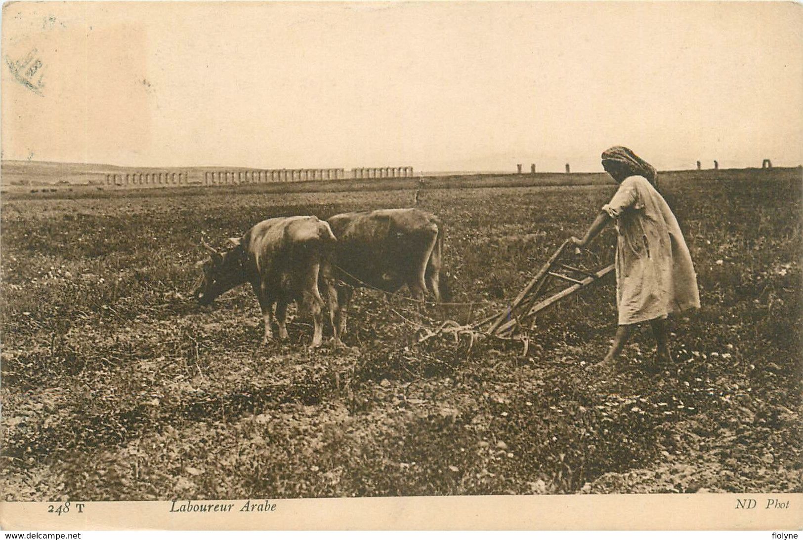 Agriculture - Un Laboureur Arabe - Laboureur Labour Attelage Boeufs - Agricole Fermier - Cultivation