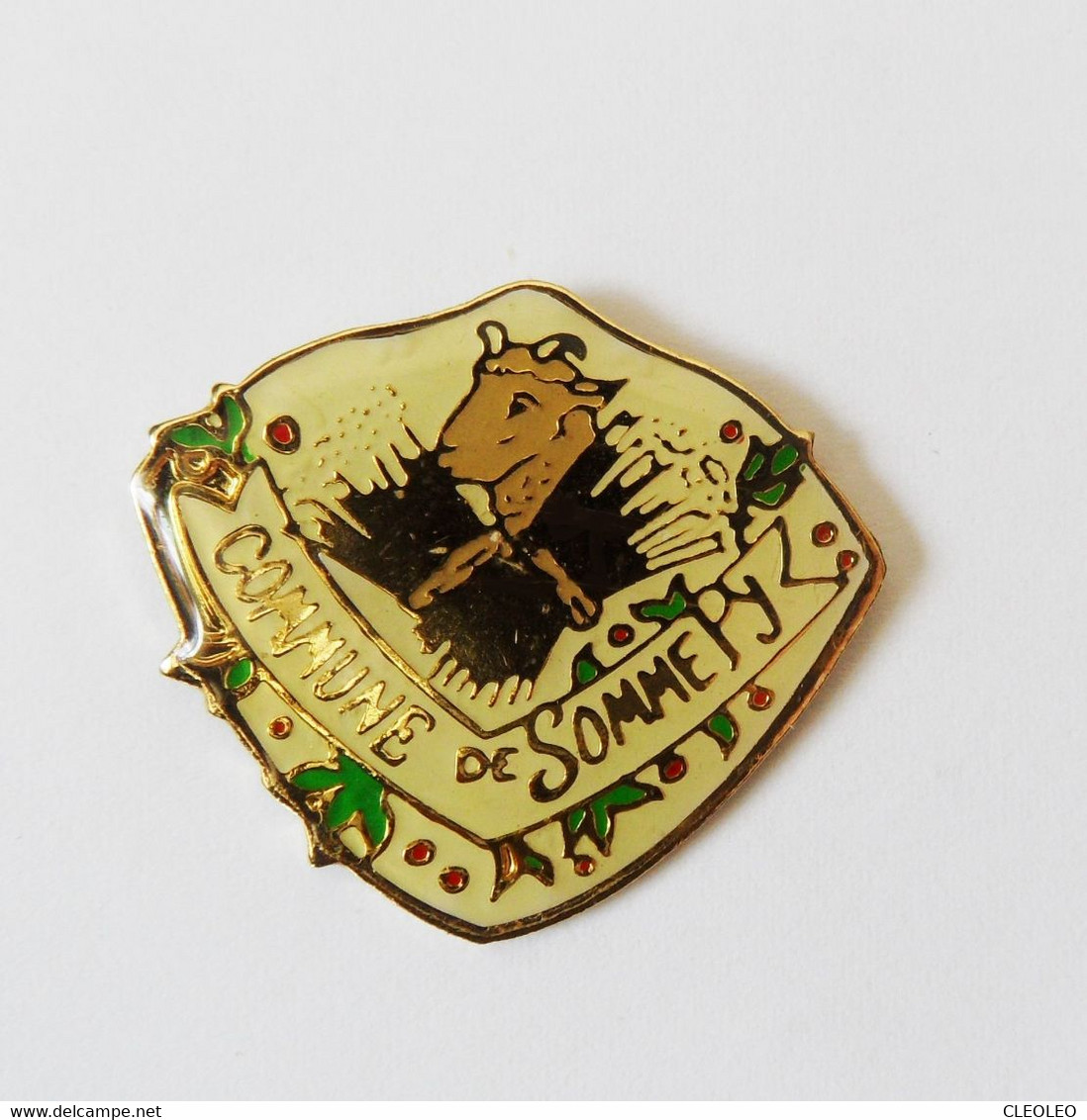 Pin's Ville Commune De Somme Py - Cities