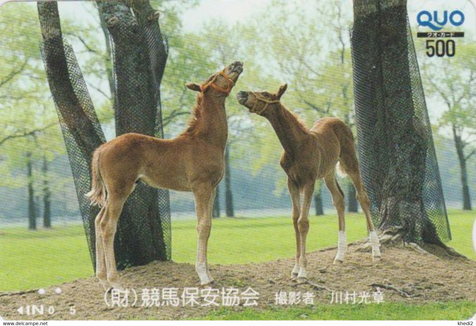 Carte Prépayée JAPON - ANIMAL - CHEVAL Chevaux / Poulain - HORSE JAPAN Prepaid Quo Card - PFERD - BE 412 - Paarden
