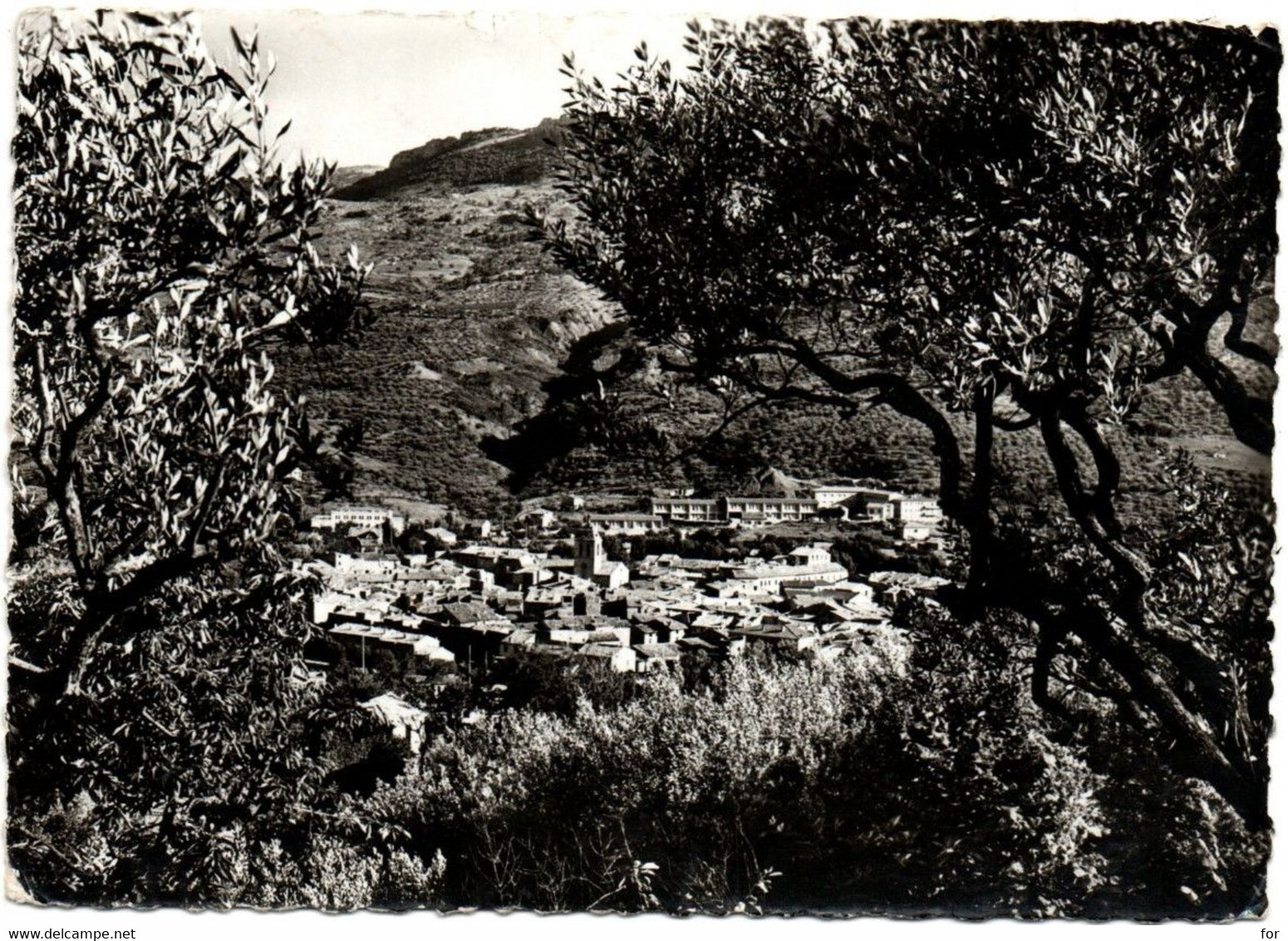 Drôme : BUIS LES BARONNIES : Vue Générale : Grand Format - Buis-les-Baronnies