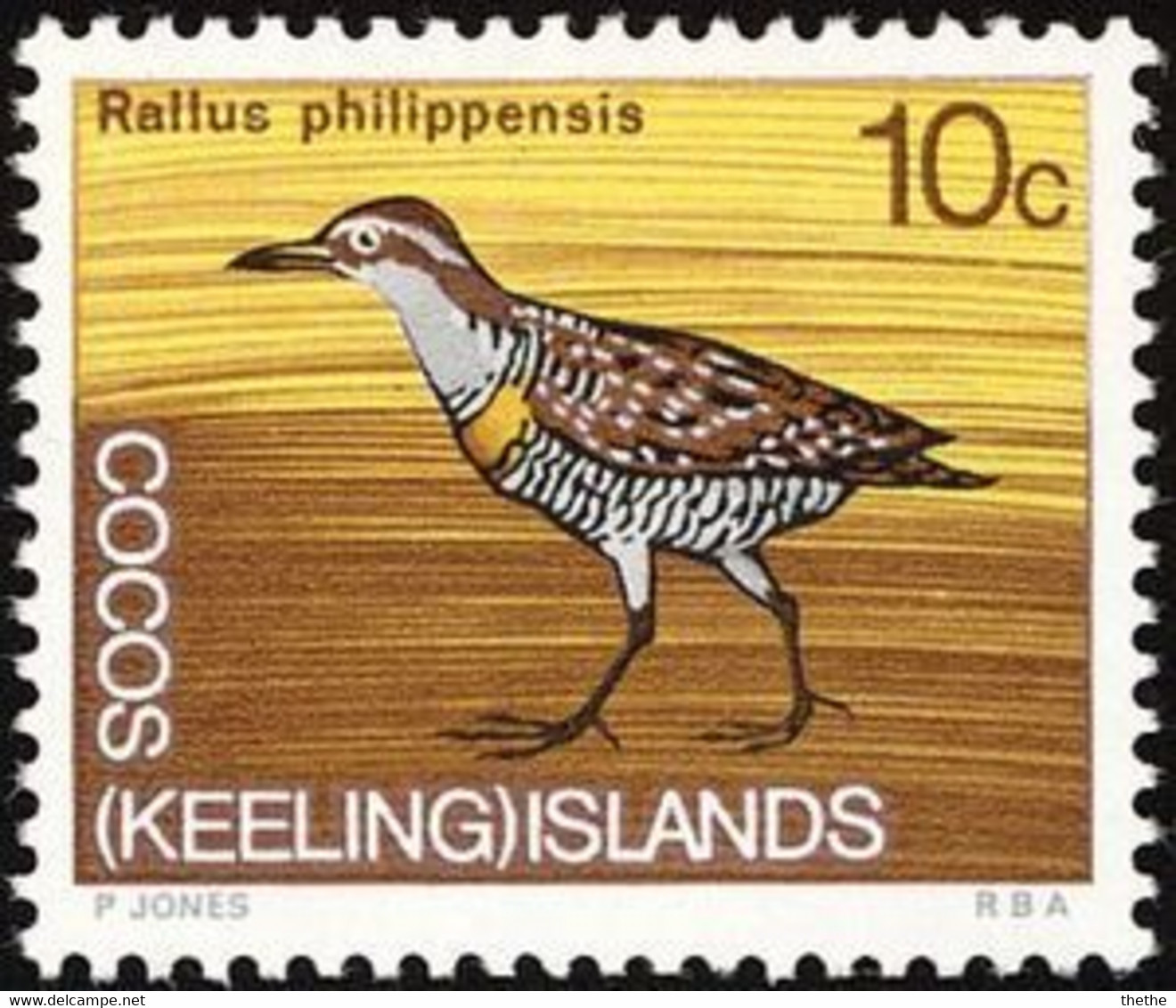 Cocos (Keeling) Islands - Râle à Collier (Rallus Philippensis) - Cocos (Keeling) Islands