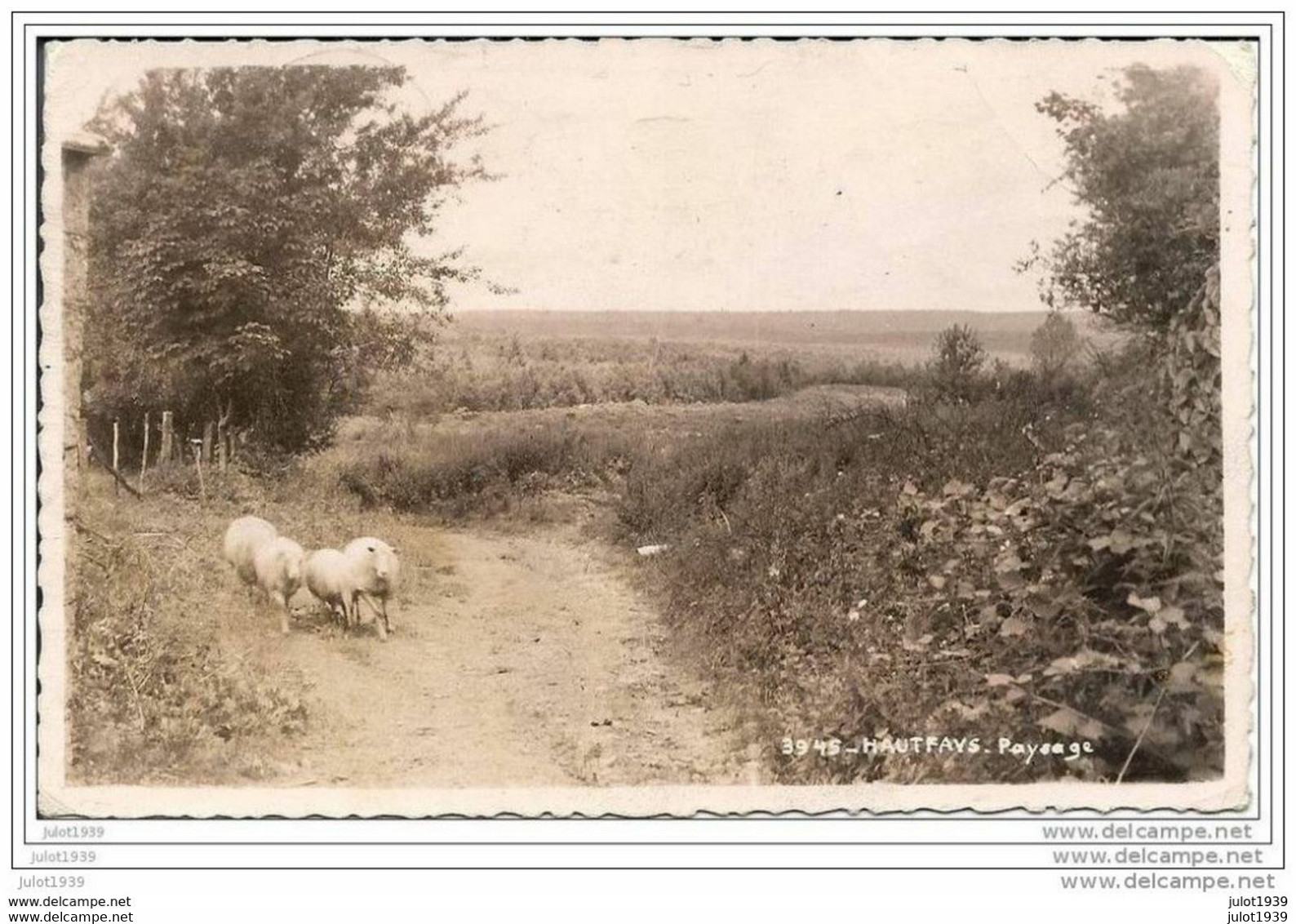 HAUT - FAYS ..-- SCENE  CHAMPETRE . 1949 Vers JETTE ( Mr Mme KNUBBEN ) . Voir Verso . - Daverdisse