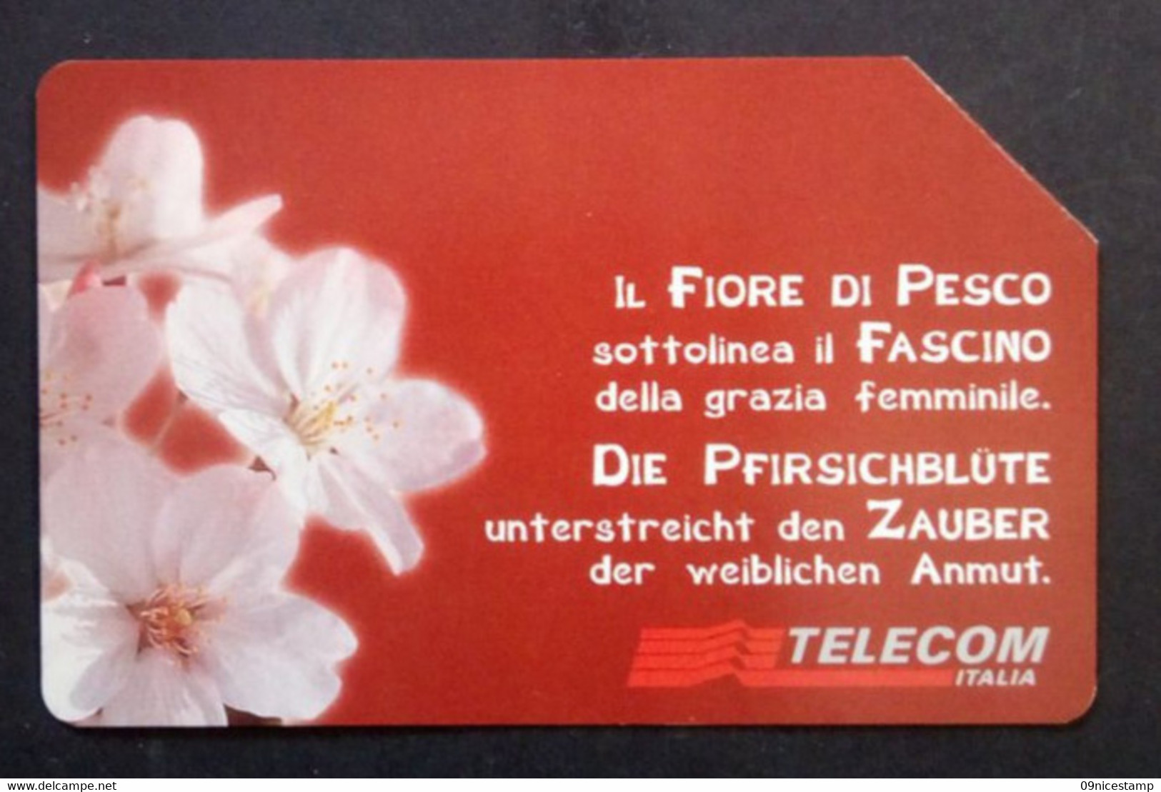 Telephonecard From Italy, Empty And Used (Read Text) - Autres & Non Classés