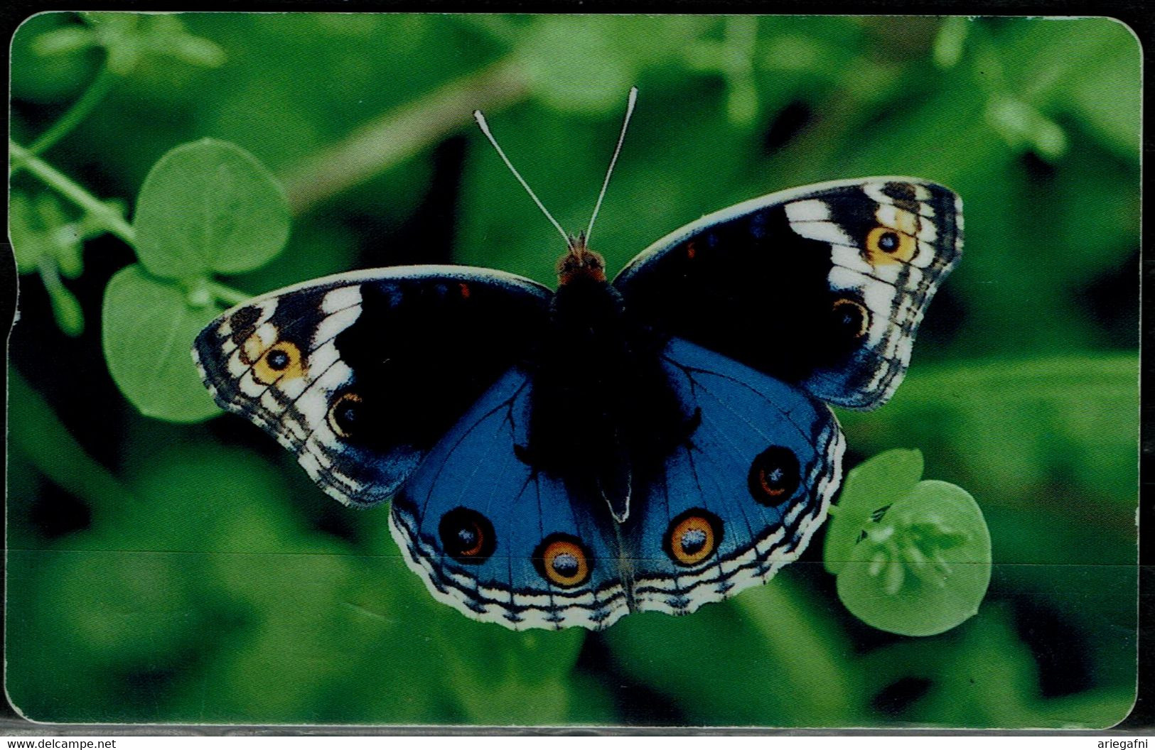 CHINA  2009 PHONECARD BUTTERFLIES USED VF!! - Schmetterlinge