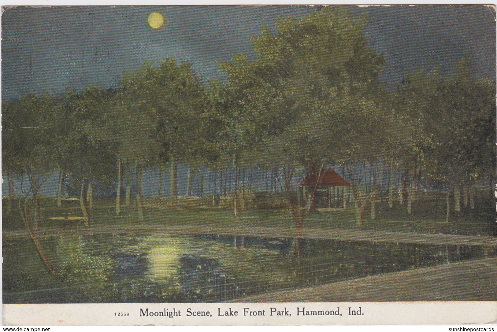 Indiana Hammond Lake Front Park Moonlight Scene 1909 - Hammond