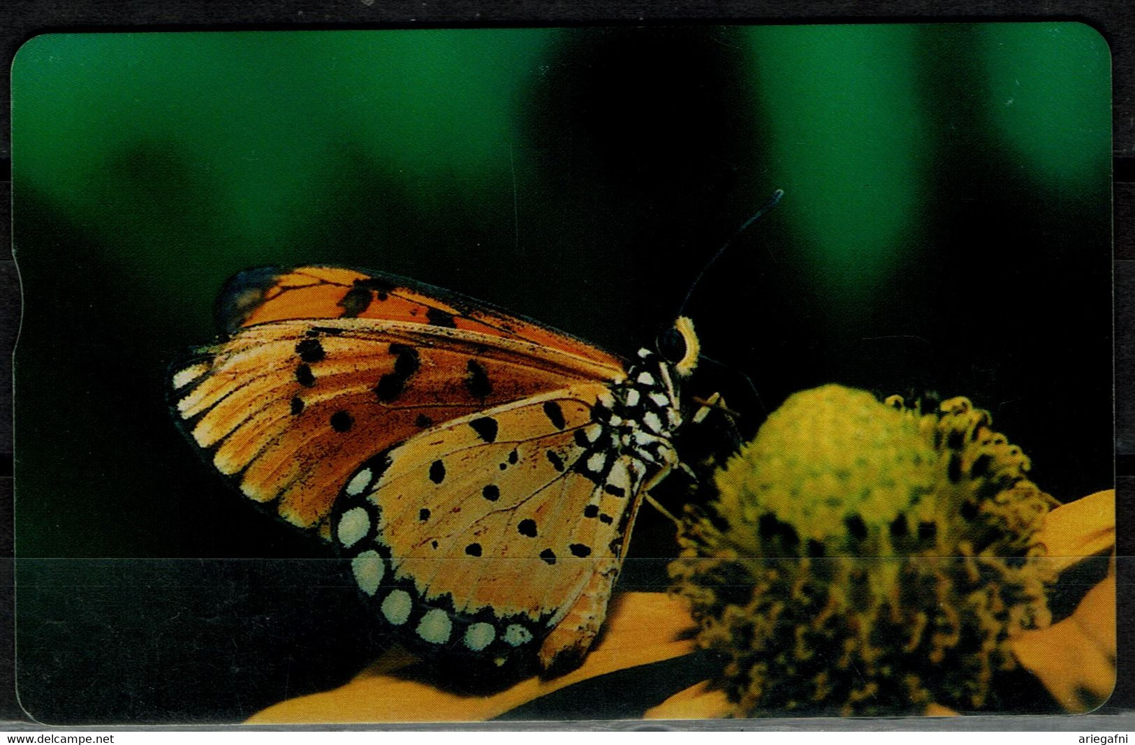 CHINA  2006 PHONECARD BUTTERFLIES USED VF!! - Papillons