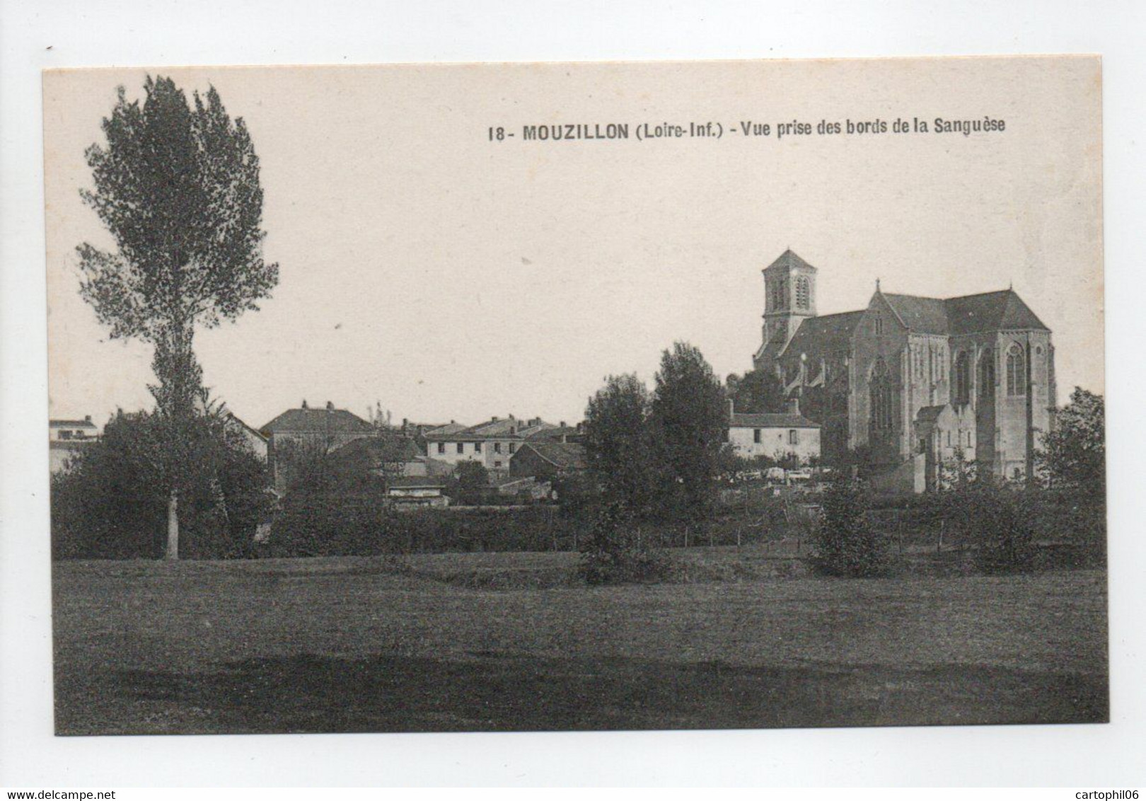 - CPA MOUZILLON (44) - Vue Prise Des Bords De La Sanguèse - Edition Chapeau N° 18 - - Sonstige & Ohne Zuordnung