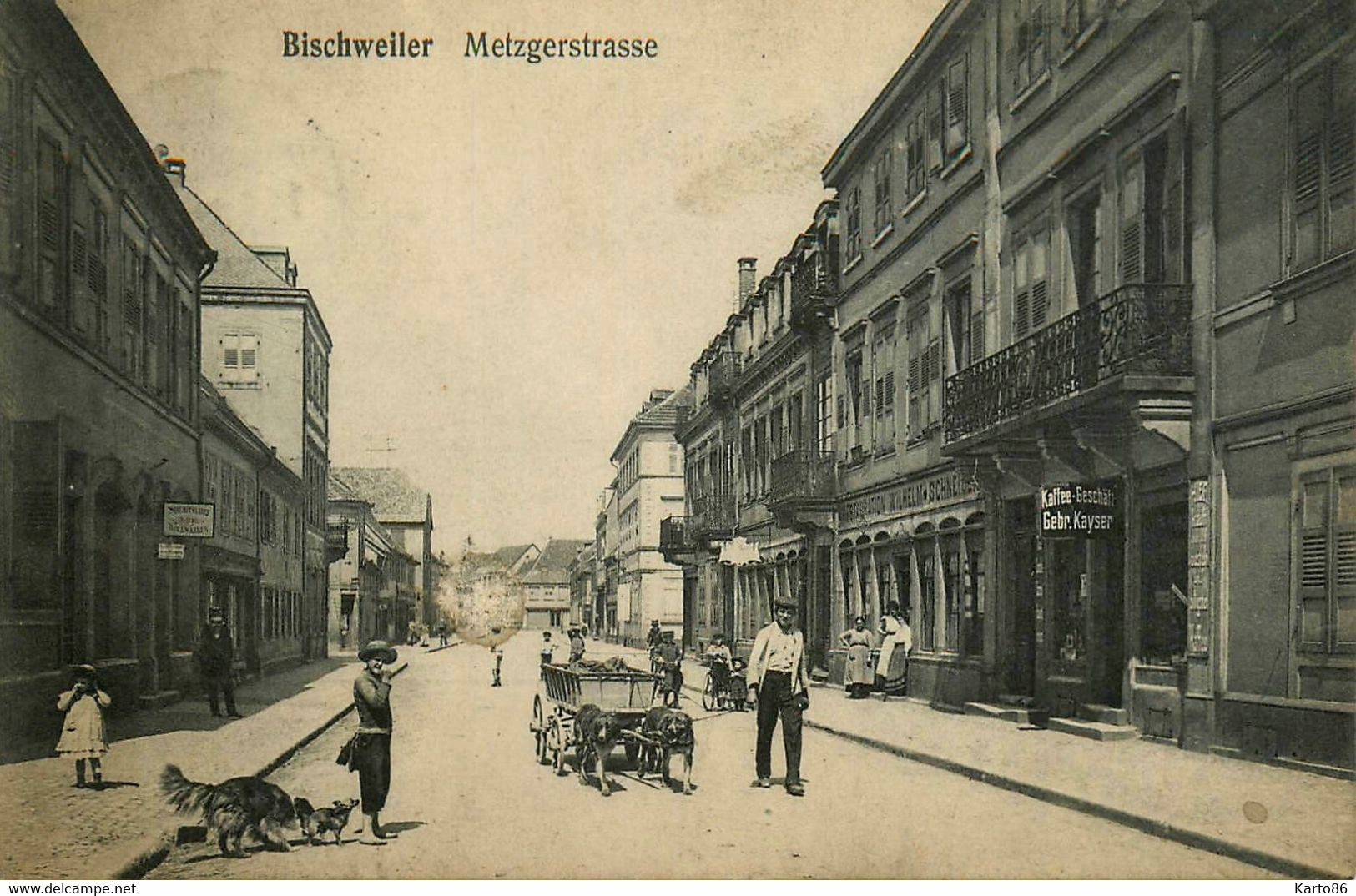 Bischweiler * Metzgerstrasse * Attelage à Chien , Voiture à Chiens * Bischwiller - Bischwiller
