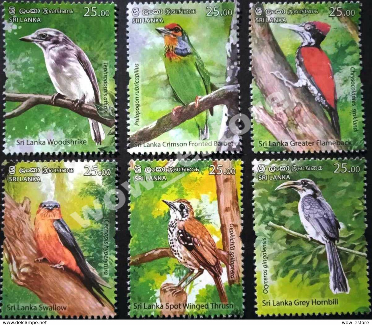 SRI LANKA STAMPS ENDEMIC BIRDS OF SRI LANKA (2021) MNH- 6 STAMPS - Sri Lanka (Ceylon) (1948-...)