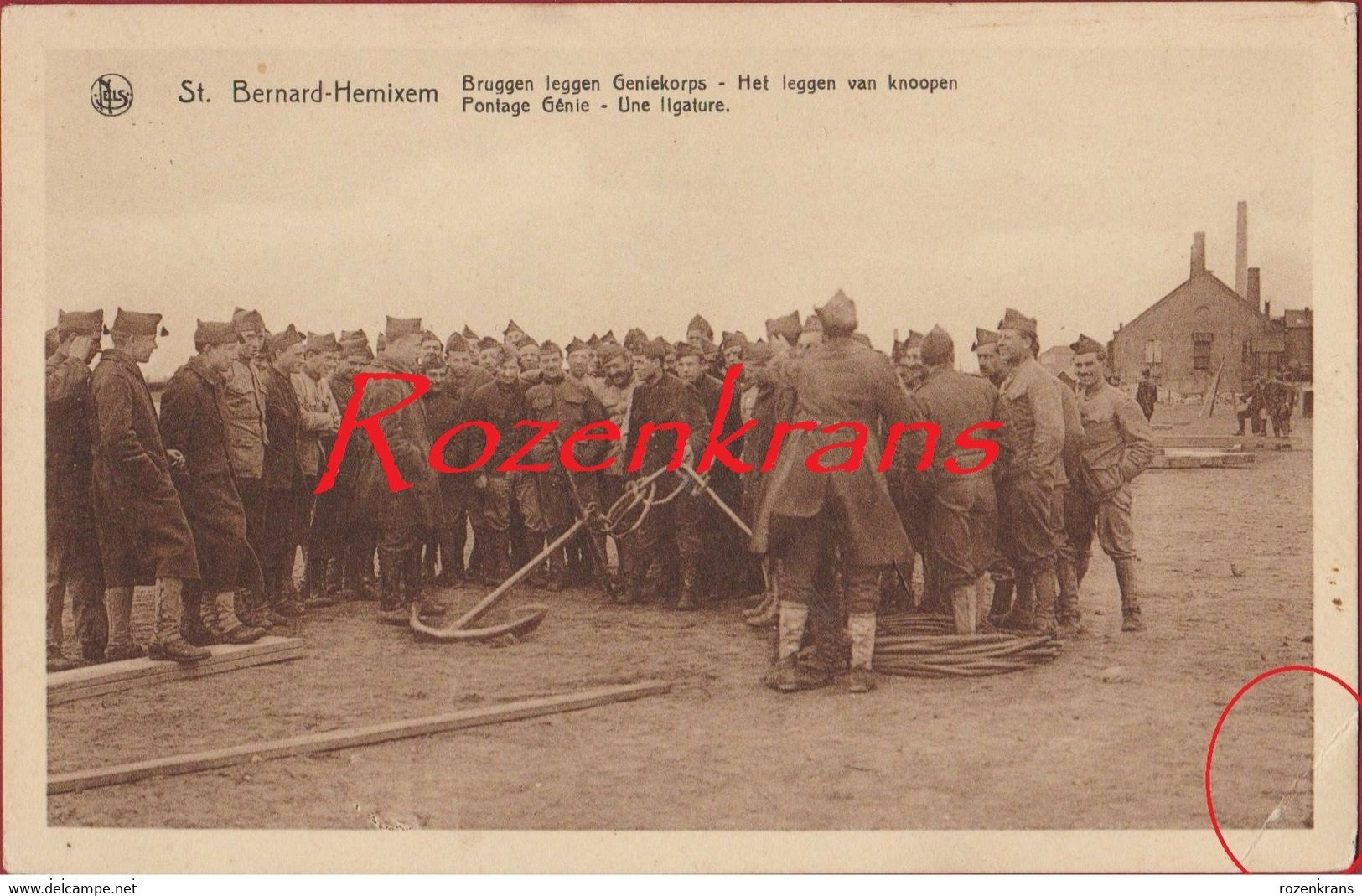 Hemixem Hemiksem Bruggen Leggen Geniekorps Leggen Van Knopen Pontage Genie Army Armee Belge Military Ponton Schelde - Hemiksem