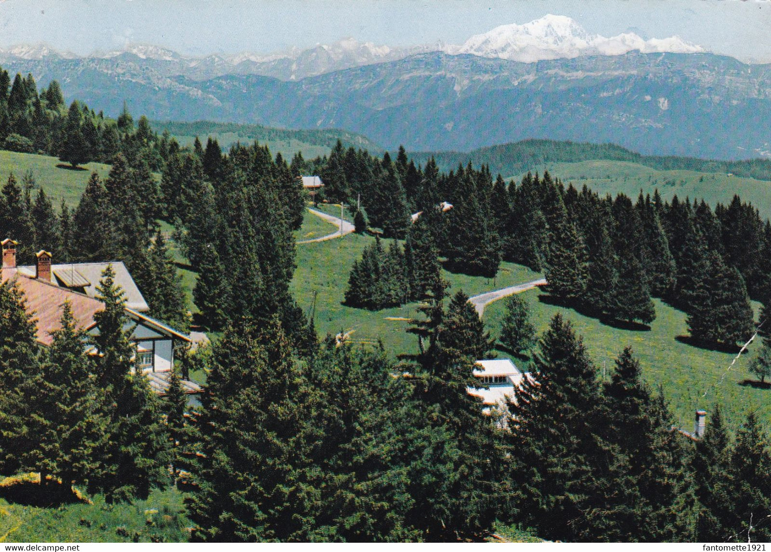 PAYSAGE ALPESTRE ET LE MONT BLANC (dil8) - La Clusaz