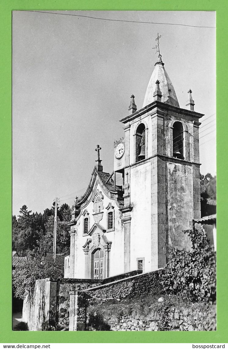 Cedrim Do Vouga - Igreja Matriz. Aveiro. Portugal (Fotográfico) - Aveiro