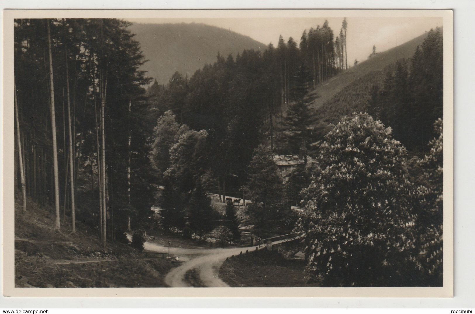 Schwarzatal, Thüringer Wald - Rudolstadt