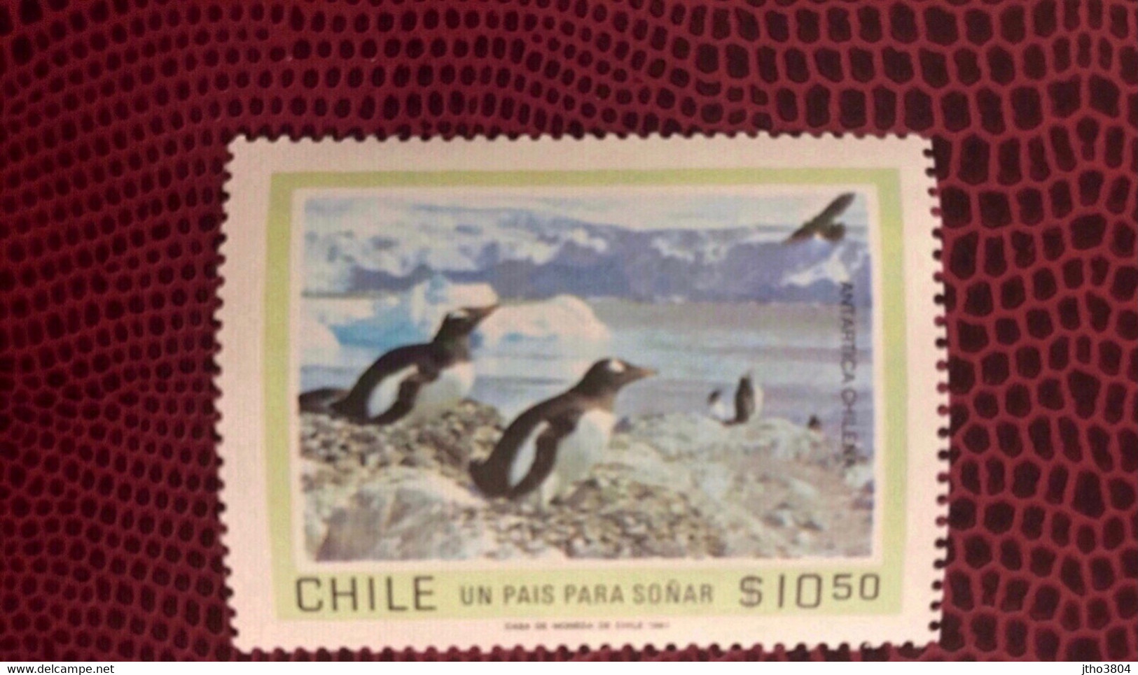 CHILI 1981 1v Neuf MNH ** YT 560 Emperor Penguin Antarctique Antartico CHILE - Pingouins & Manchots