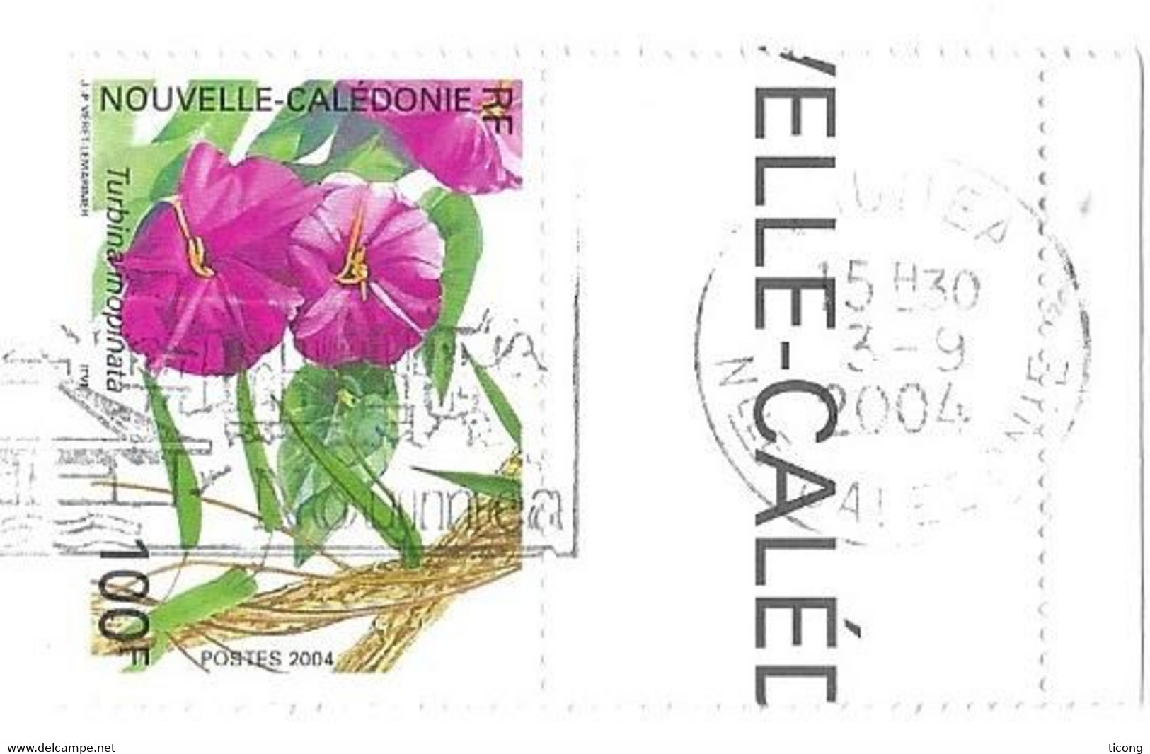 NOUVELLE CALEDONIE NOUMEA 2004, LETTRE ENTIERE FLEUR TURBINA MOPINATA ( TIMBRE DE 2004 ) BORD DE FEUILLE, VOIR SCANNERS - Storia Postale