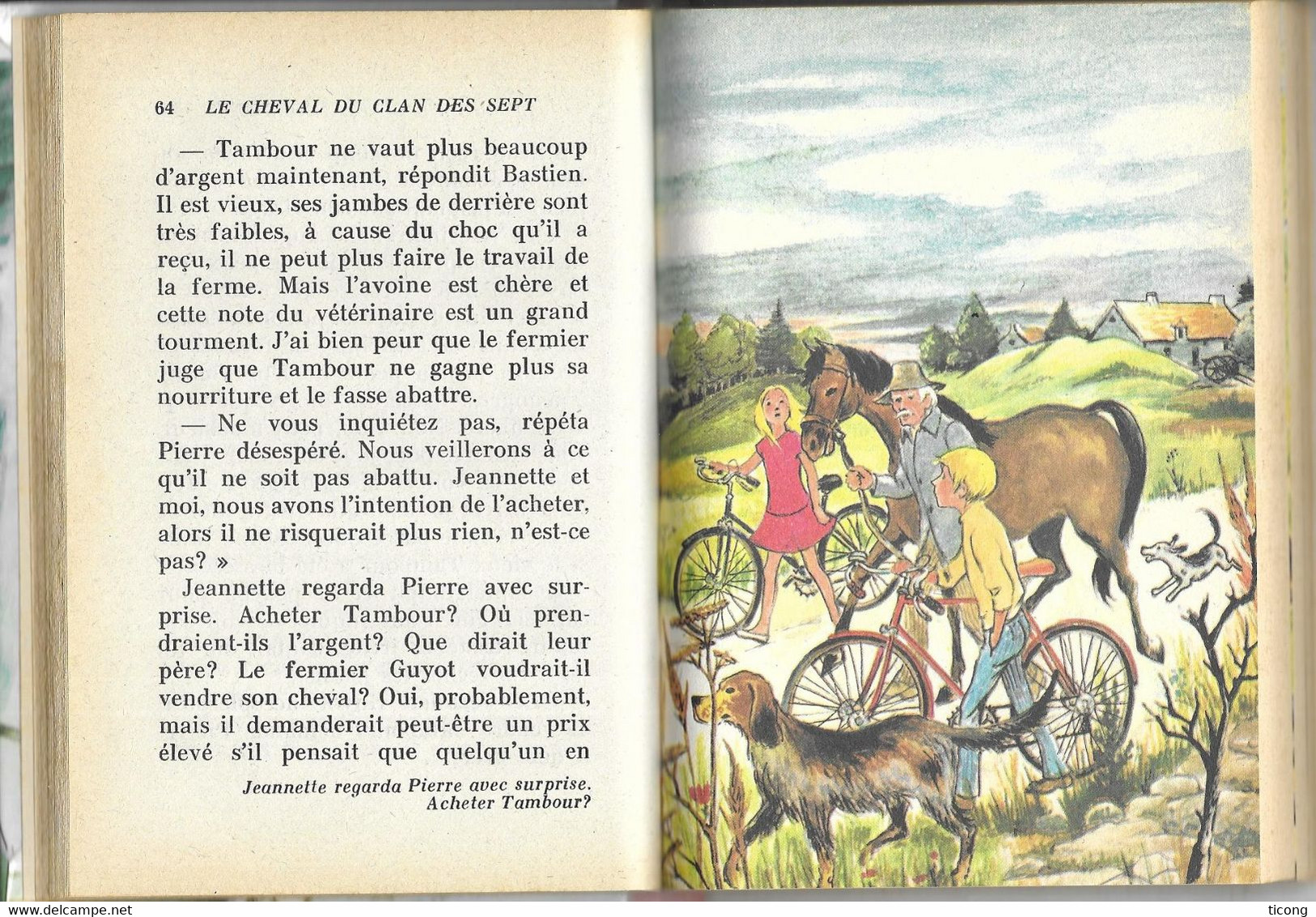 BIBLIOTHEQUE ROSE 1982 - LE CHEVAL DU CLAN DES SEPT PAR ENID BLYTON, ILLUSTRATIONS SIGNEES HENRIETTE MUNIERE, A VOIR - Bibliotheque Rose