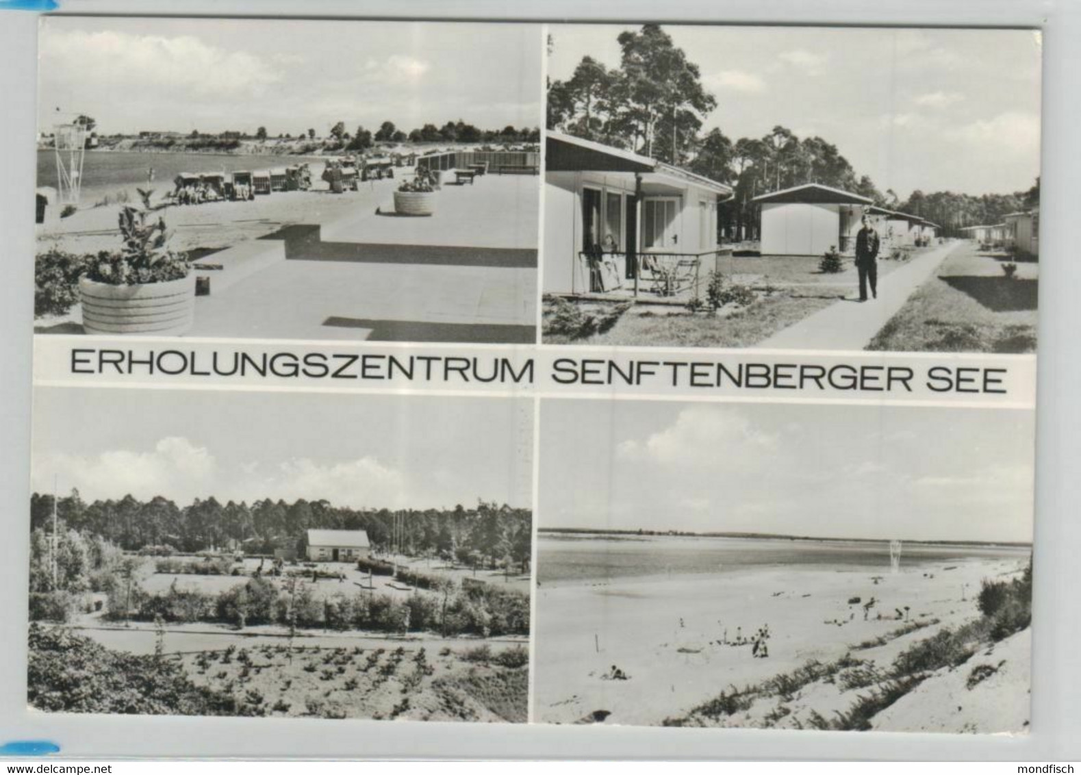 Senftenberger See 1973 - Erholungszentrum - Senftenberg