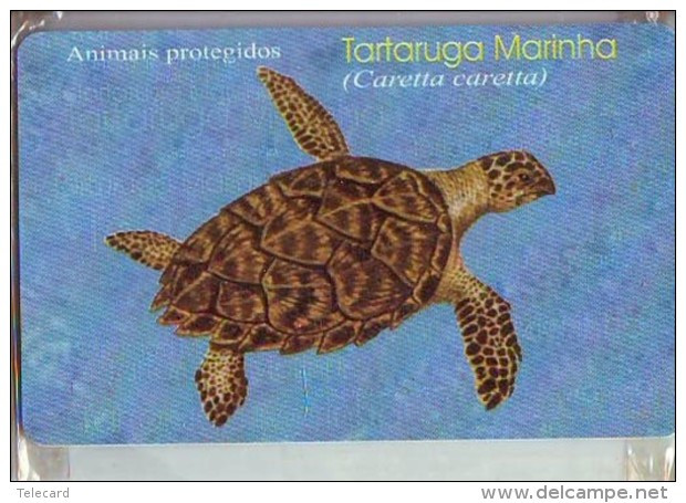 Rare Télécarte à Puce NEUVE MOZAMBIQUE - Animal (2285) TORTUE - TURTLE Chip MINT Phonecard - SCHILDKRÖTE - Tortues