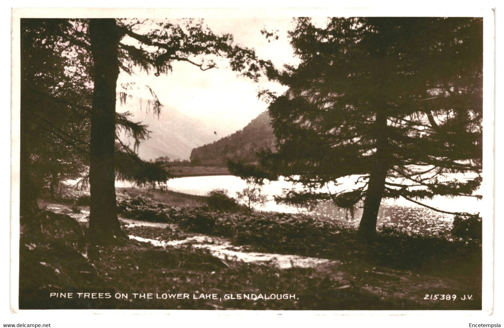 CPA Carte Postale Irlande -Glendalough-  Pine Trees On The Lower Lake 1934  VM41861 - Wicklow