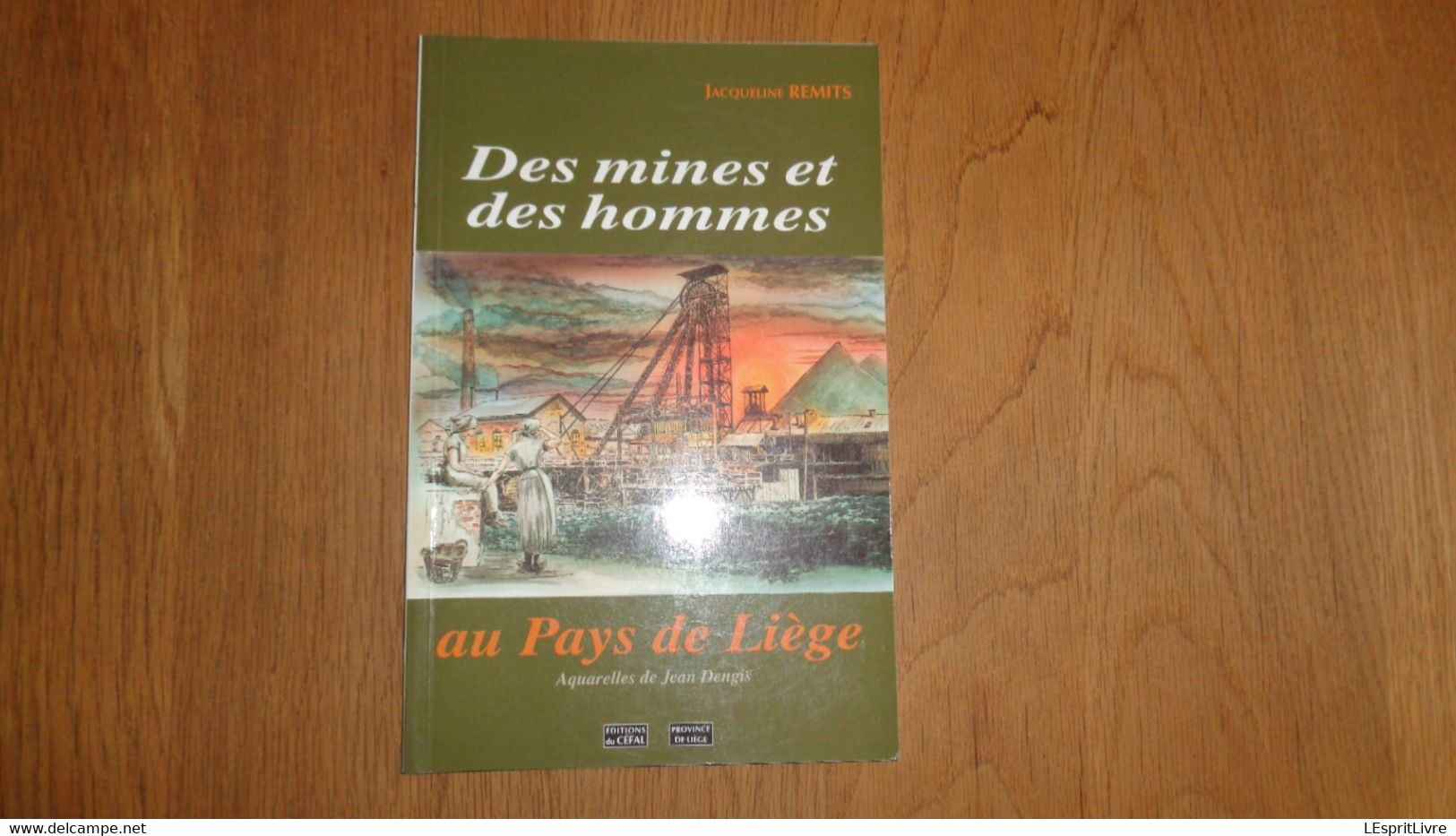 DES MINES ET DES HOMMES AU PAYS DE LIEGE Régionalisme Mine Mineurs Charbonnages Houillères Blégny Charbon Grisou Houille - Belgio