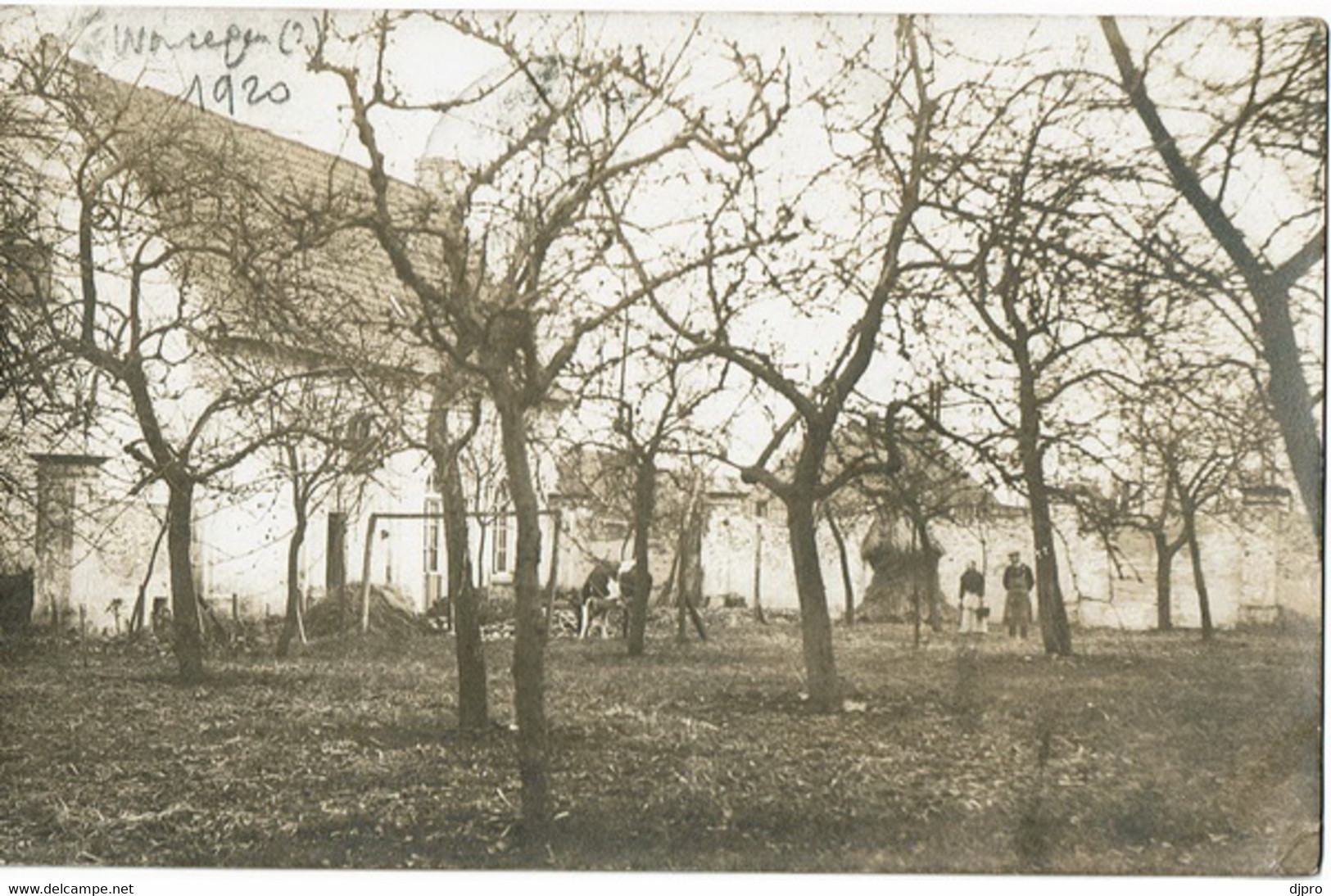 Waregem Fotopostkaart 1920 - Waregem