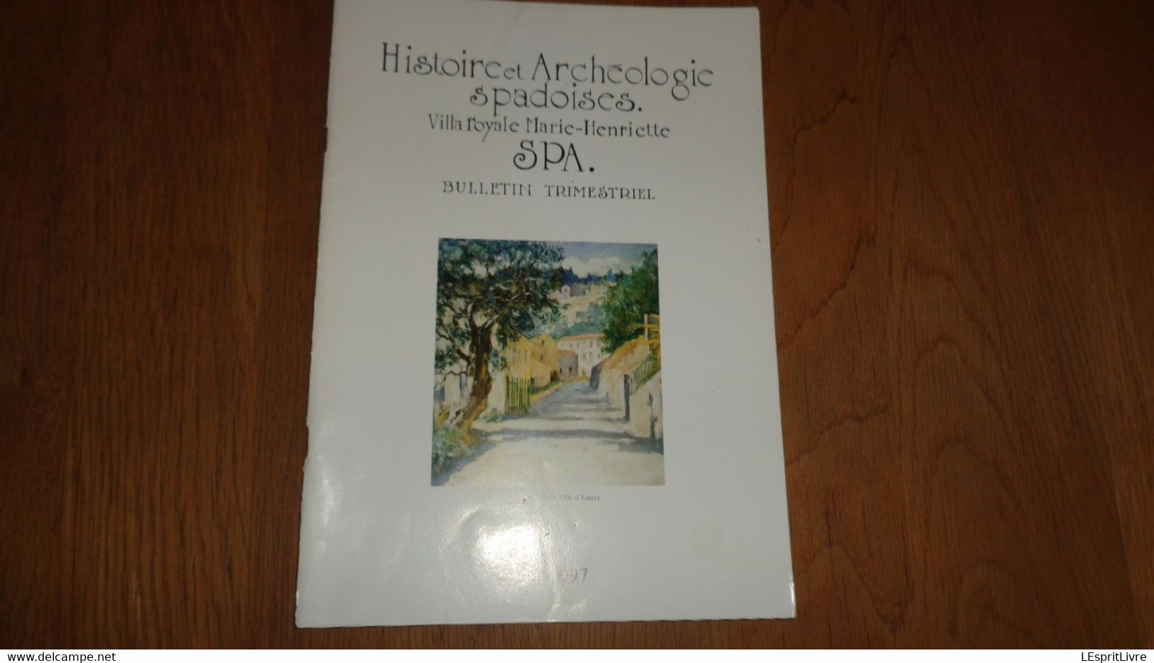 HISTOIRE ET ARCHEOLOGIE SPADOISES 91 Régionalisme Liège Spa Guide De L'Allemagne 1793 Famille Malherbe Abbé Salée - Belgique