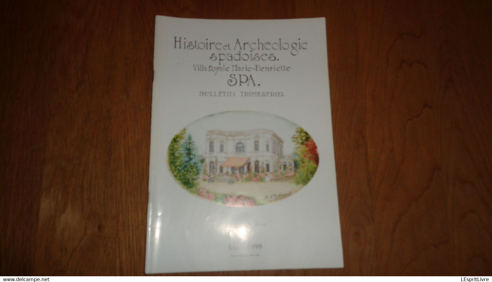 HISTOIRE ET ARCHEOLOGIE SPADOISES 97 Régionalisme Liège Spa Laetare Sartoise Sart Vues Inédites Duplessis Pouhon Home - Belgio