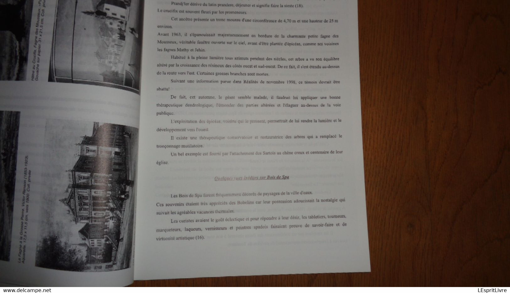 HISTOIRE ET ARCHEOLOGIE SPADOISES 97 Régionalisme Liège Spa Laetare Sartoise Sart Vues Inédites Duplessis Pouhon Home