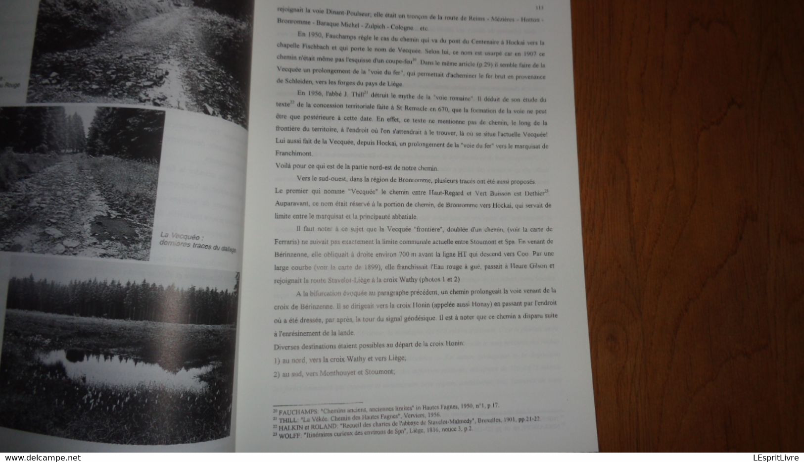 HISTOIRE ET ARCHEOLOGIE SPADOISES 99 Régionalisme Liège Plateau Bronromme Bains Villégiatures Pouhon Eau Vues Inédites