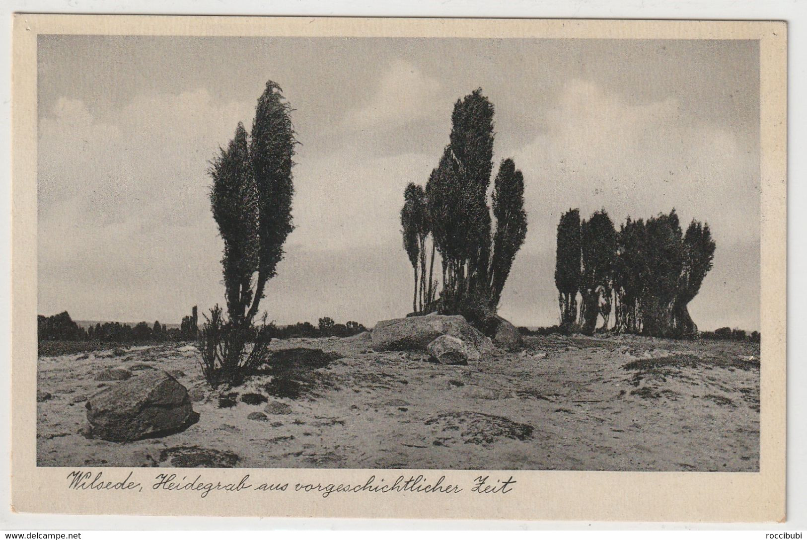 Lüneburger Heide - Lüneburger Heide