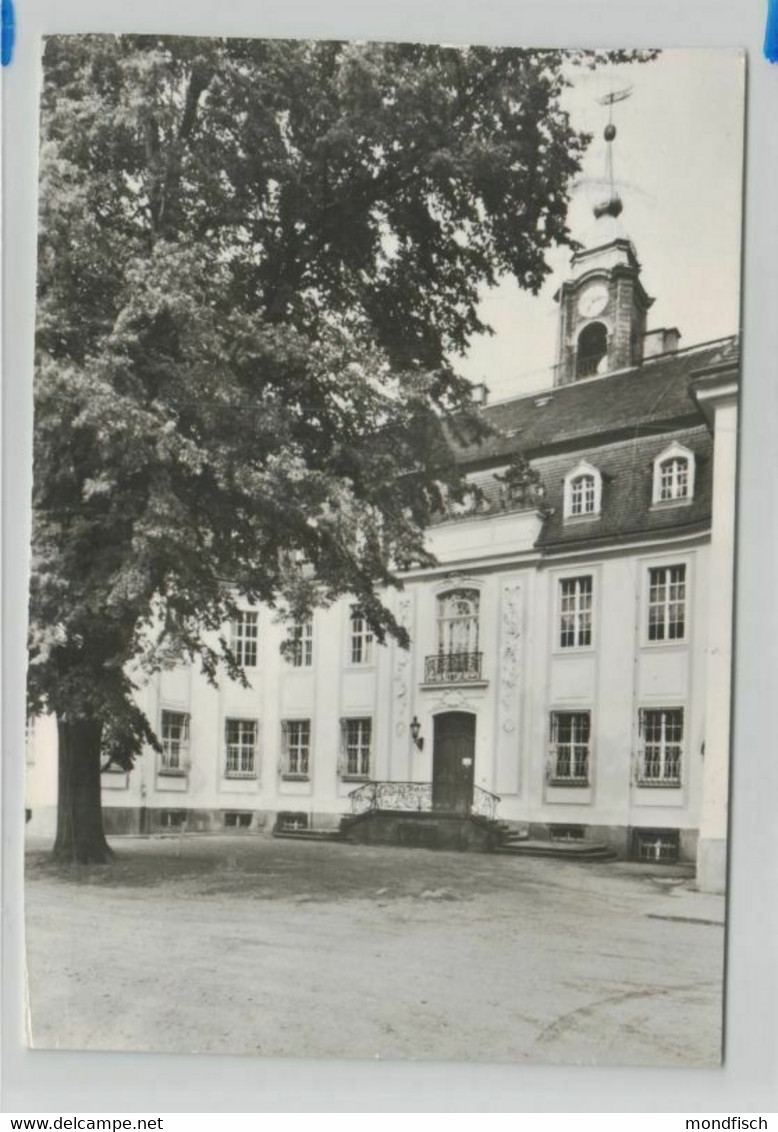 Reinhardtsgrimma - Glashütte - Schloss 1984 - Glashütte