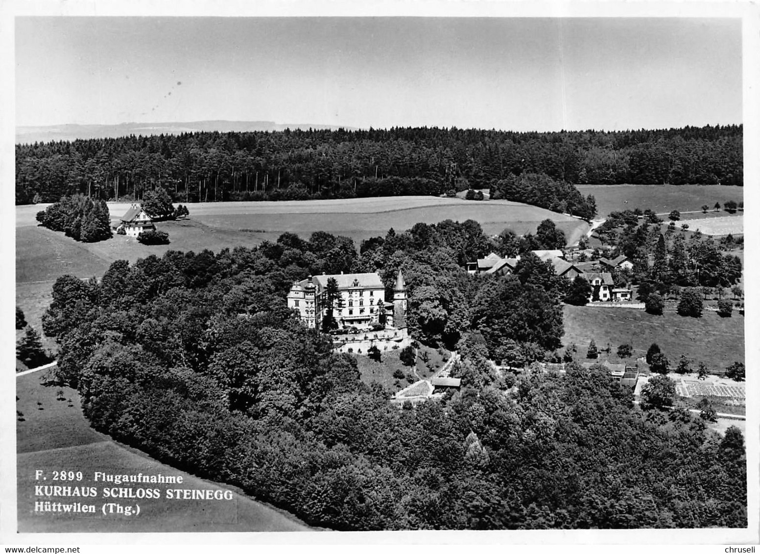 Hüttwilen Schloss Steinegg  Fliegeraufnahme - Hüttwilen