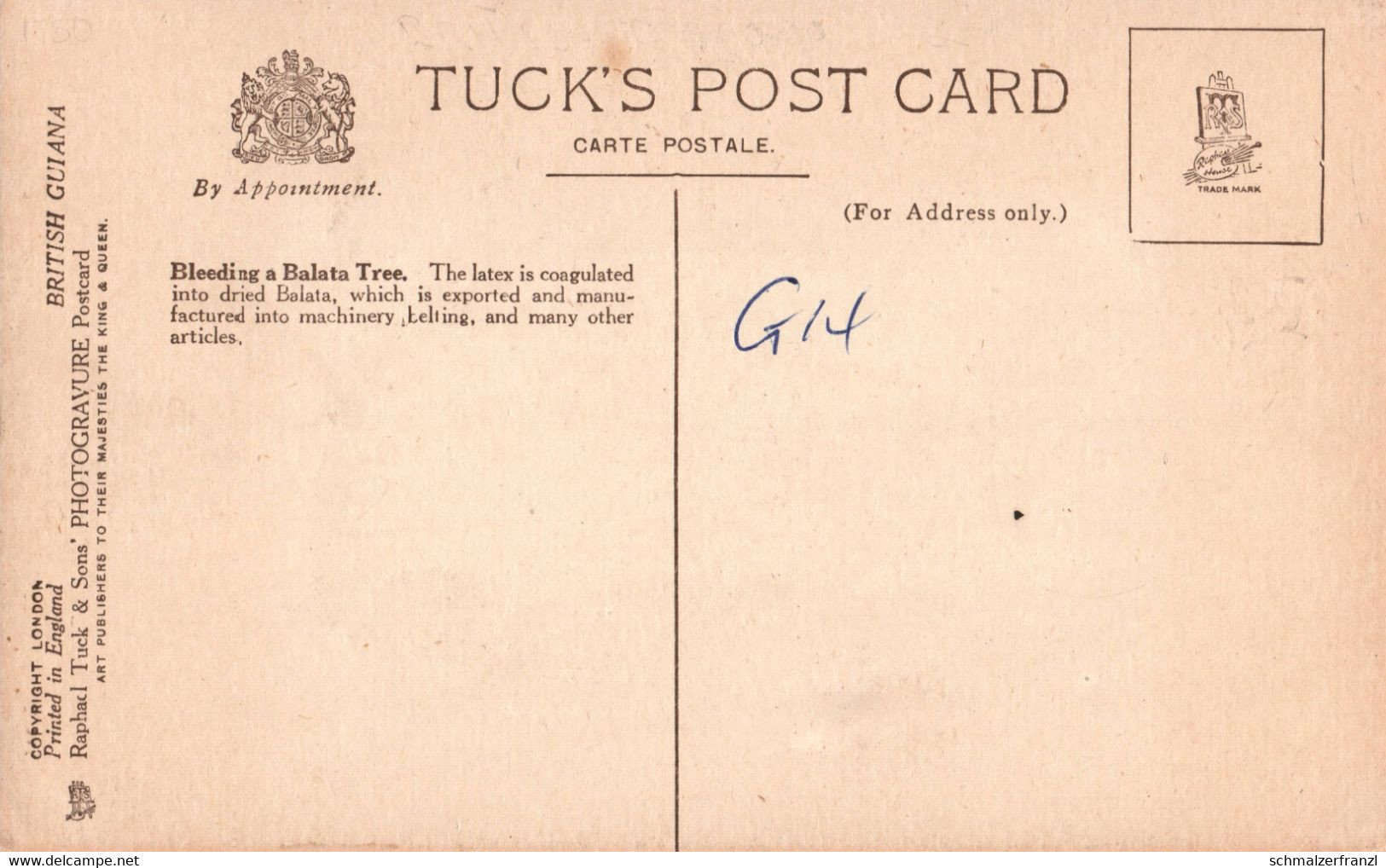 Tuck AK British Guiana Britisch Guayana Guyana Guyane Bleeding Balata Tree America Del Sur South America Amerique Colony - Suriname