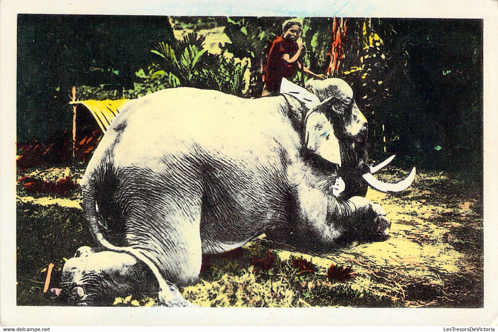 NORD VIETNAM - Nghé An Do Ham - Elephant  Employé Au Trainage Des Bois - Carte Colorisé - Vietnam