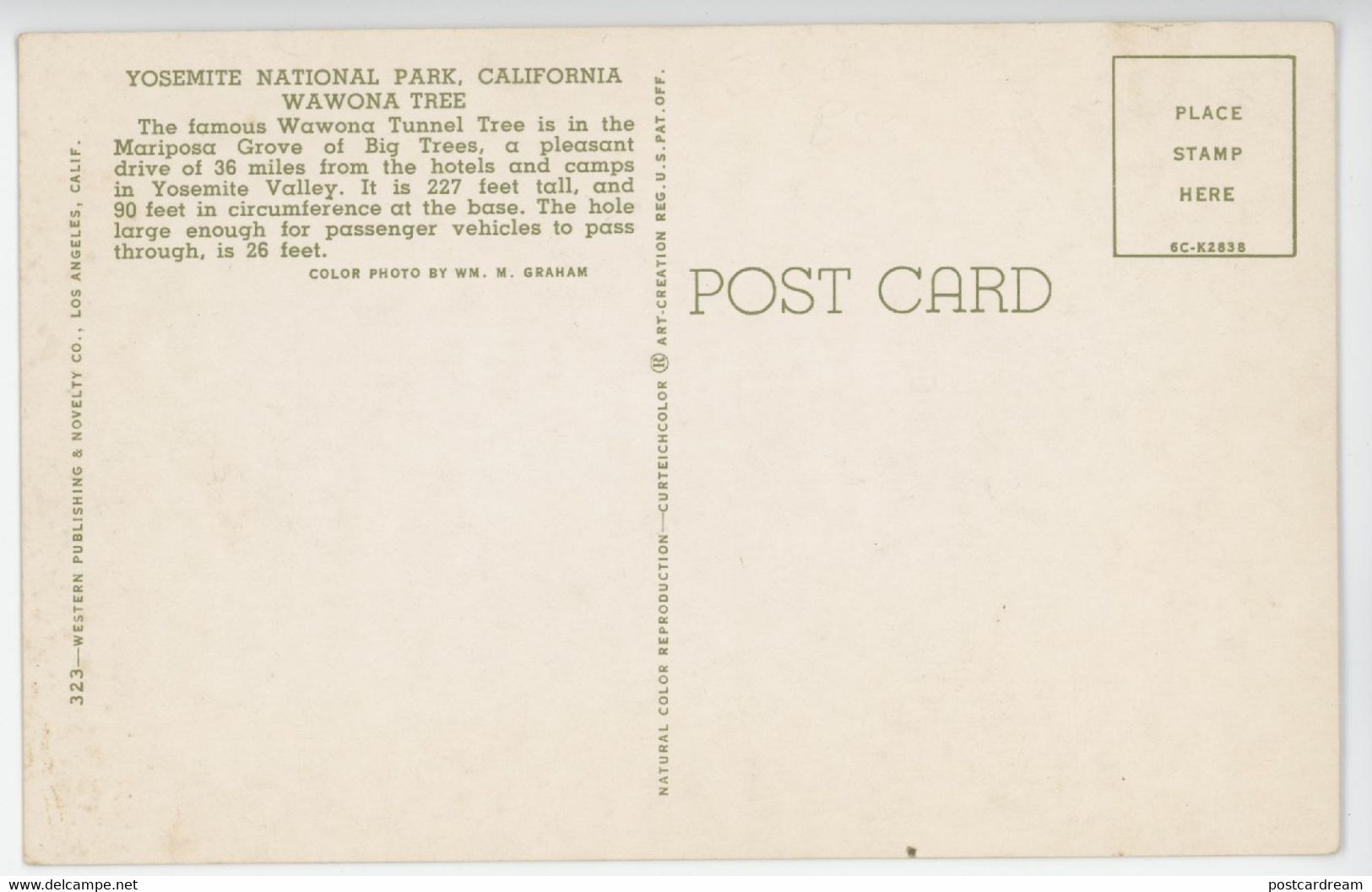 California Redwood Forest Giant Tree Forest Postcard 1956 Near Mint Condition Postcard - Yosemite