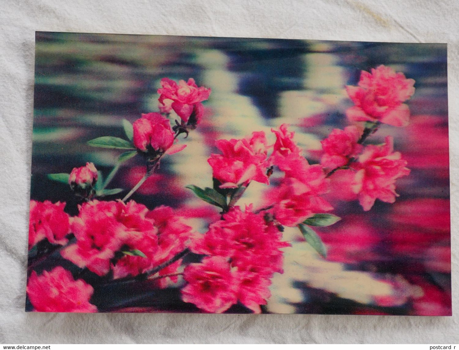 Korea, North 3 D Card Pyongyang Rhododendron Yedoense    A 212 - Corea Del Nord