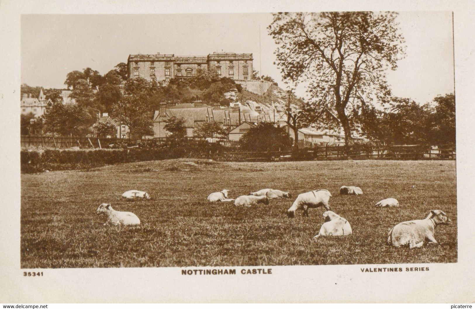 Nottingham Castle -sheep In The Foreground (Valentine XL Series 35341 -on Pale Green Card) - Nottingham